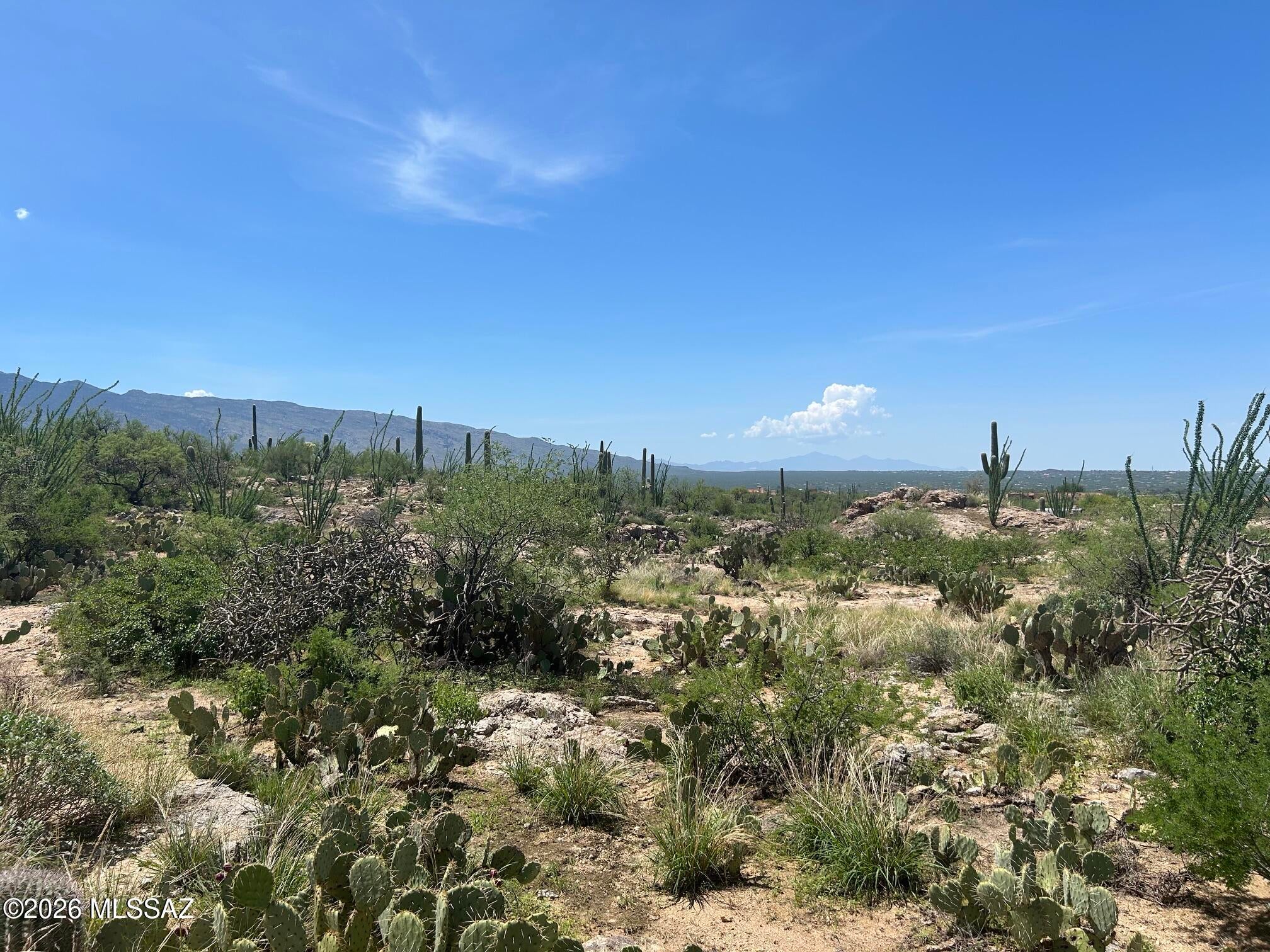 Palo Verde Ranch - Land