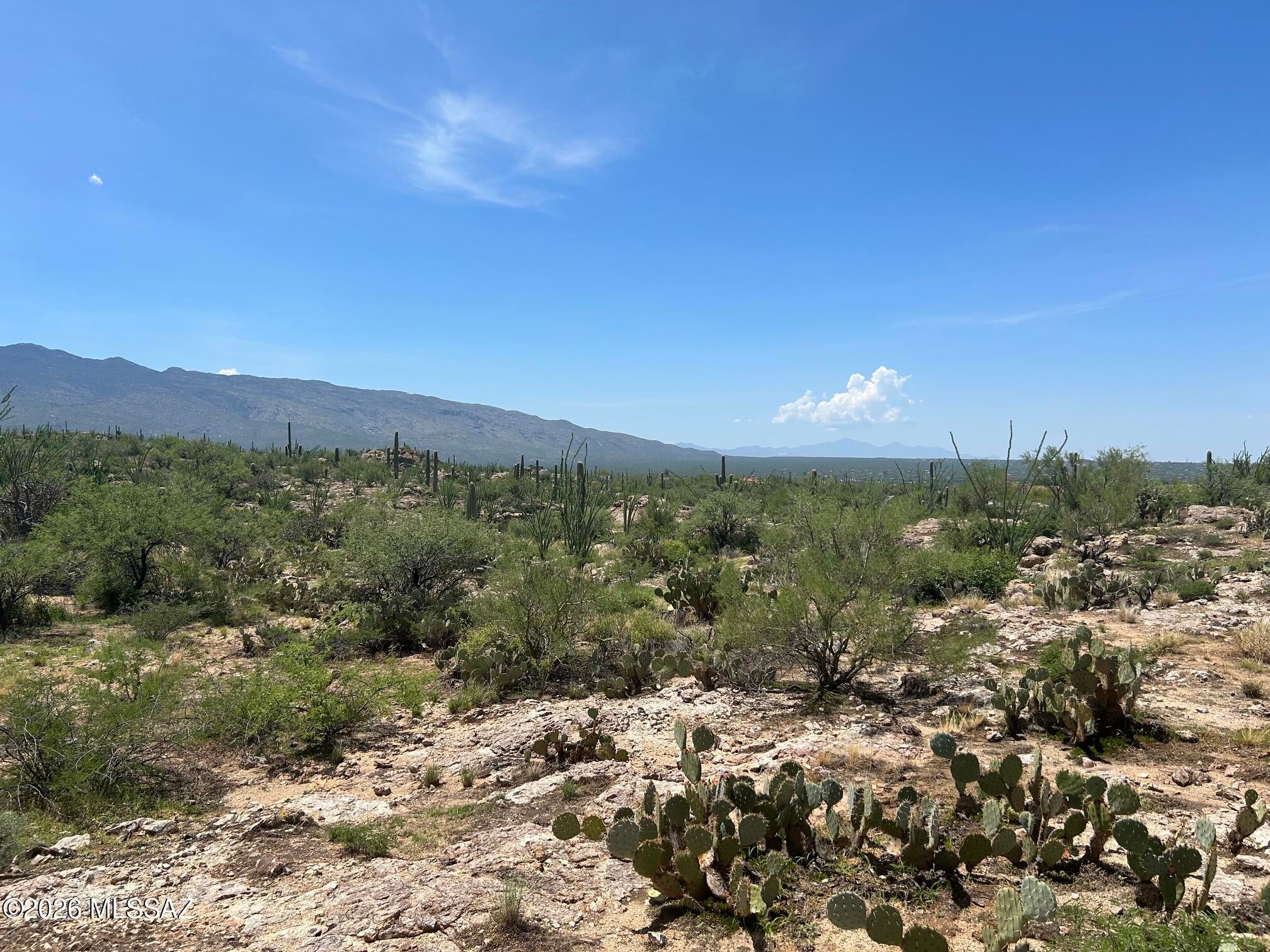 Palo Verde Ranch - Land