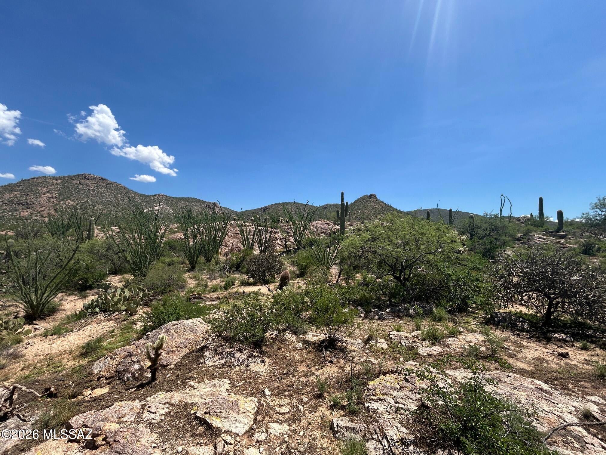 Palo Verde Ranch - Land