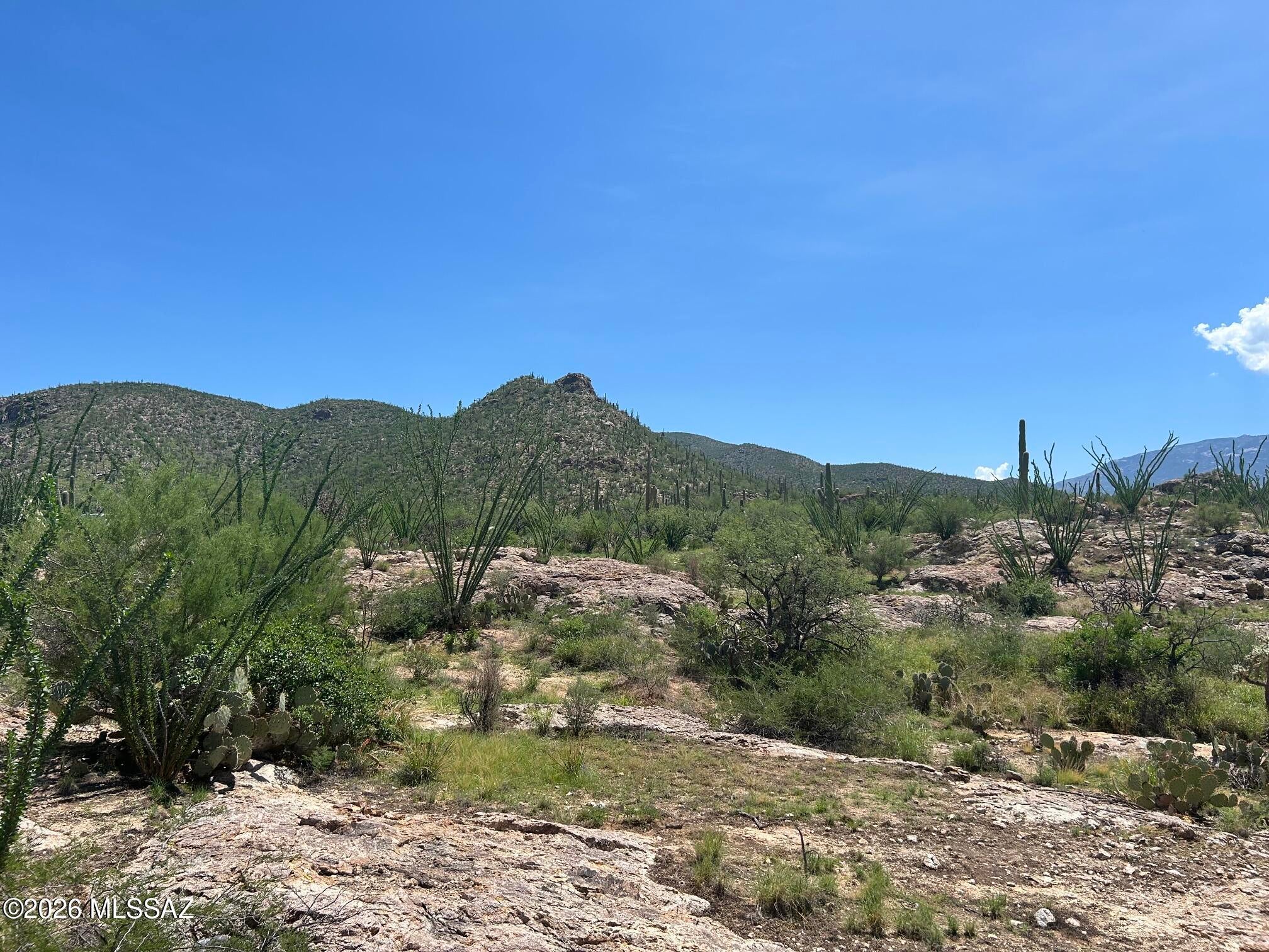 Palo Verde Ranch - Land