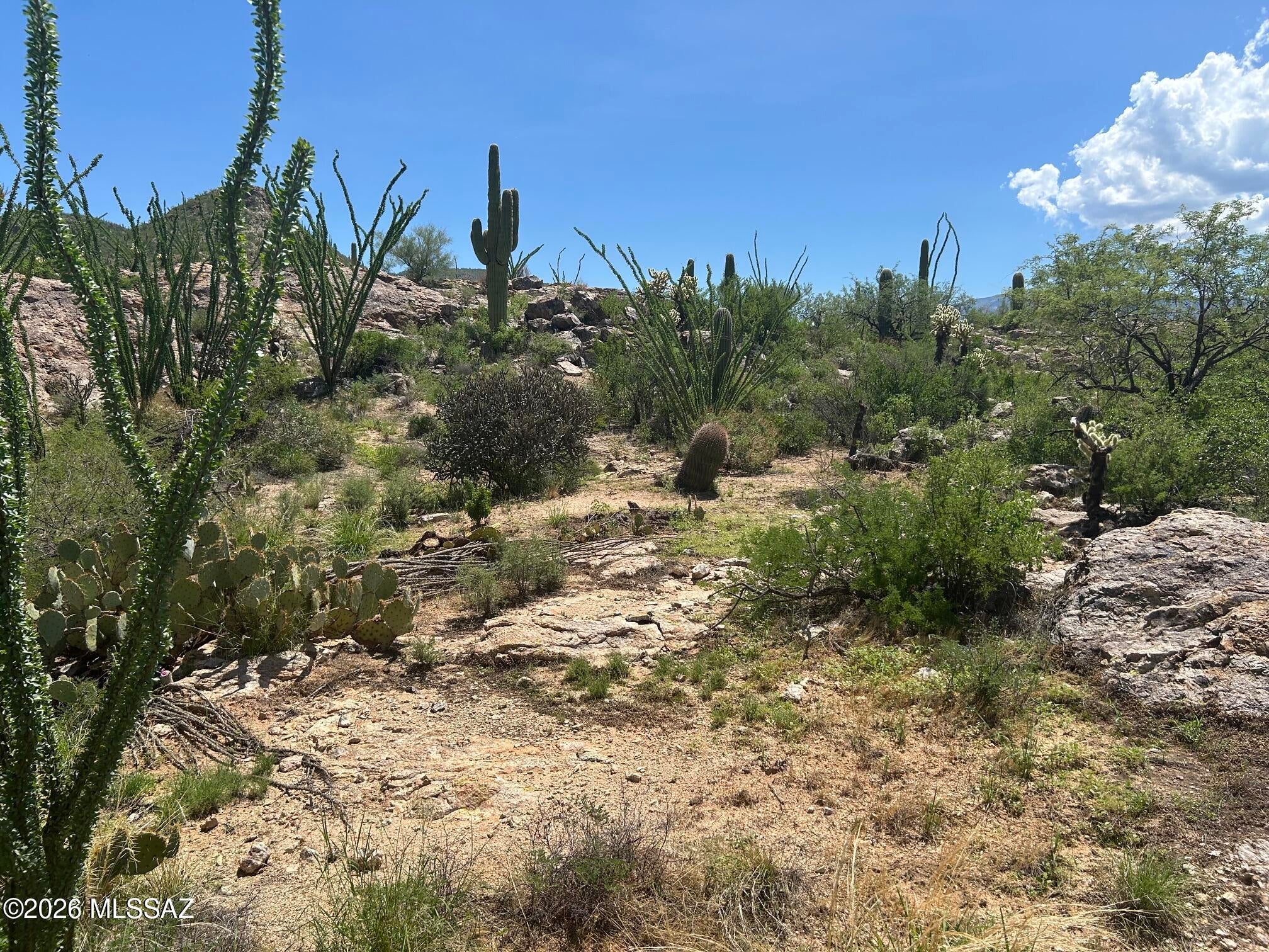 Palo Verde Ranch - Land