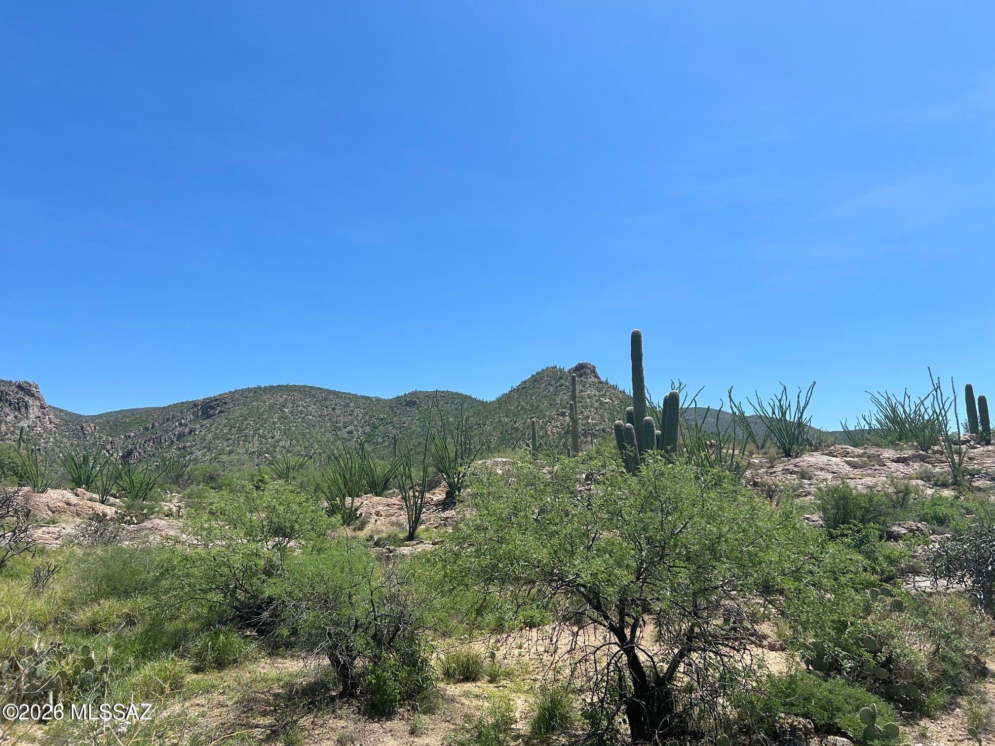 Palo Verde Ranch - Land