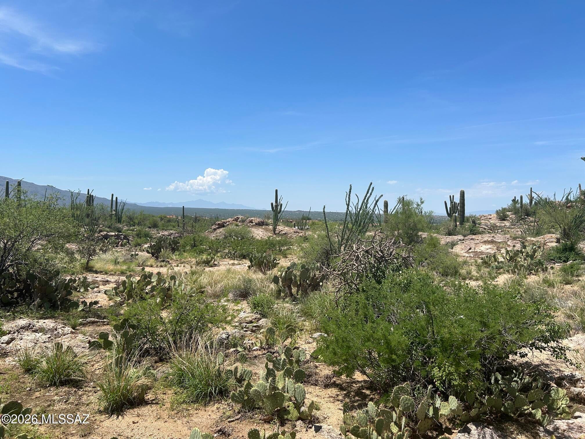 Palo Verde Ranch - Land