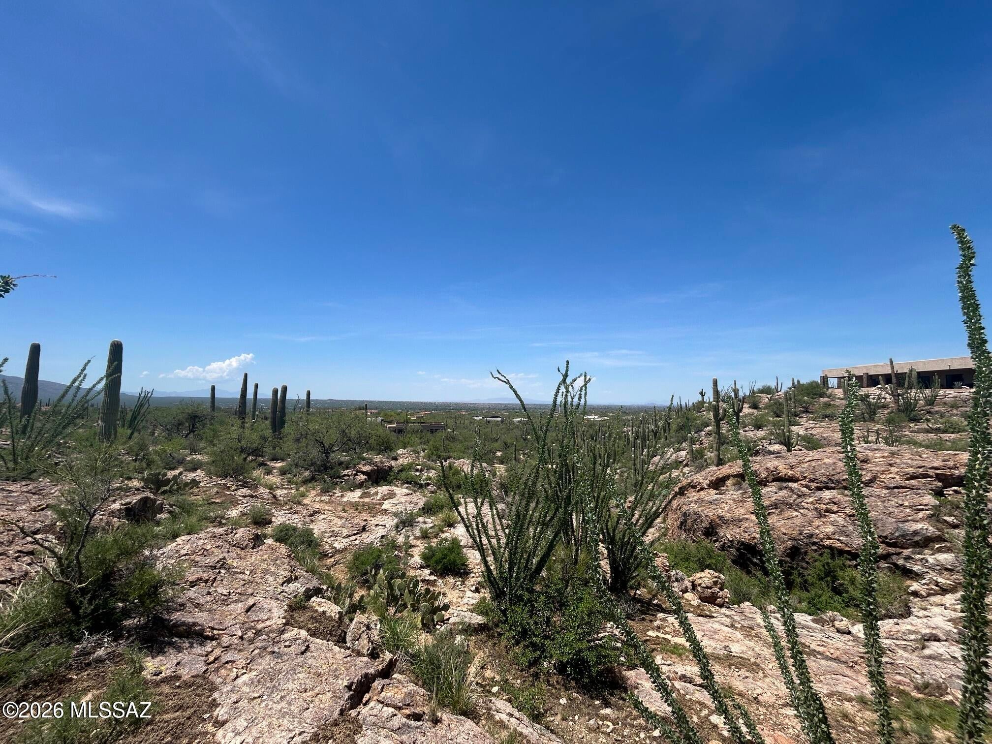 Palo Verde Ranch - Land
