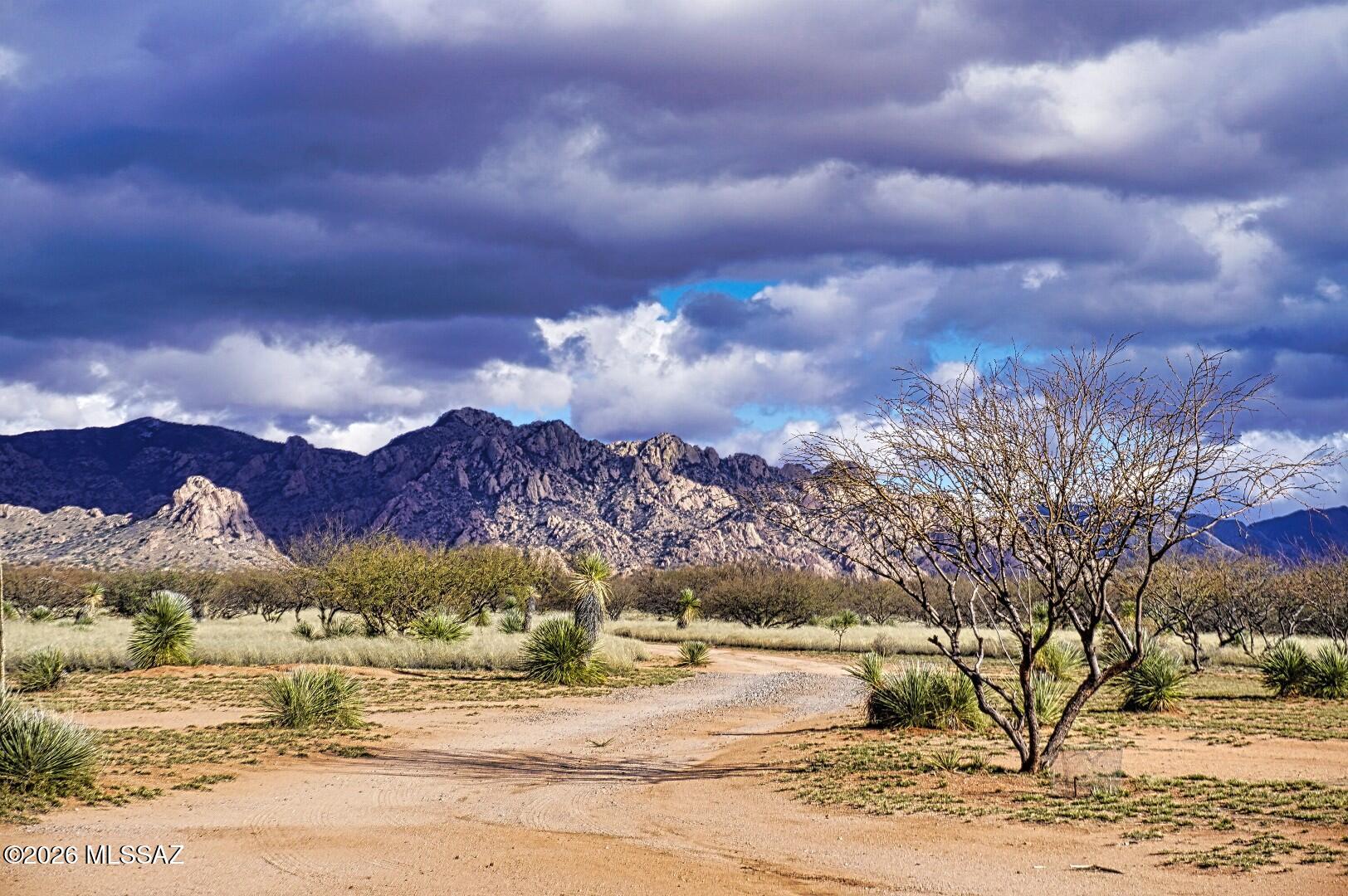 Dragoon Mountain Ranch - Residential