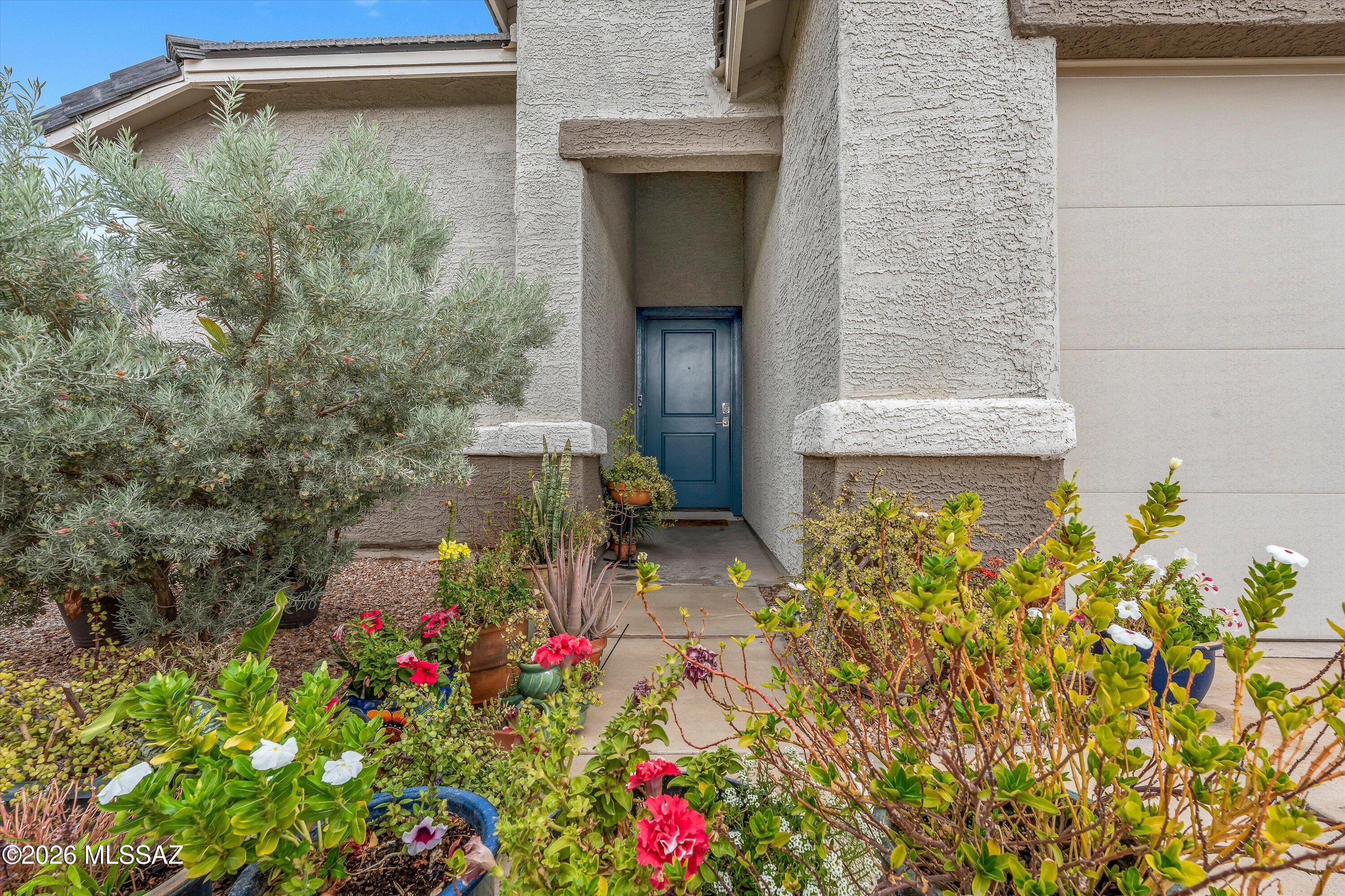 The Village at Barnett - Residential