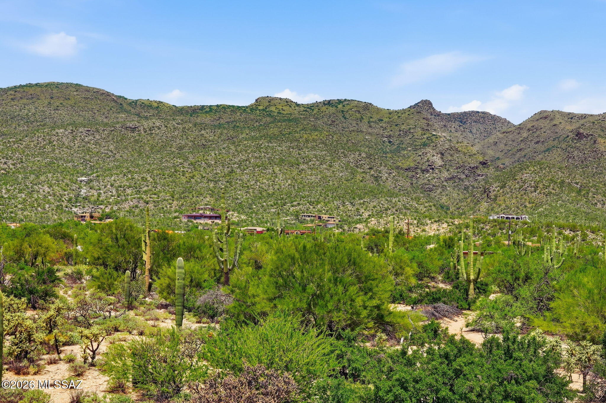 Ranchitos De Los Saguaros (1-21) - Residential