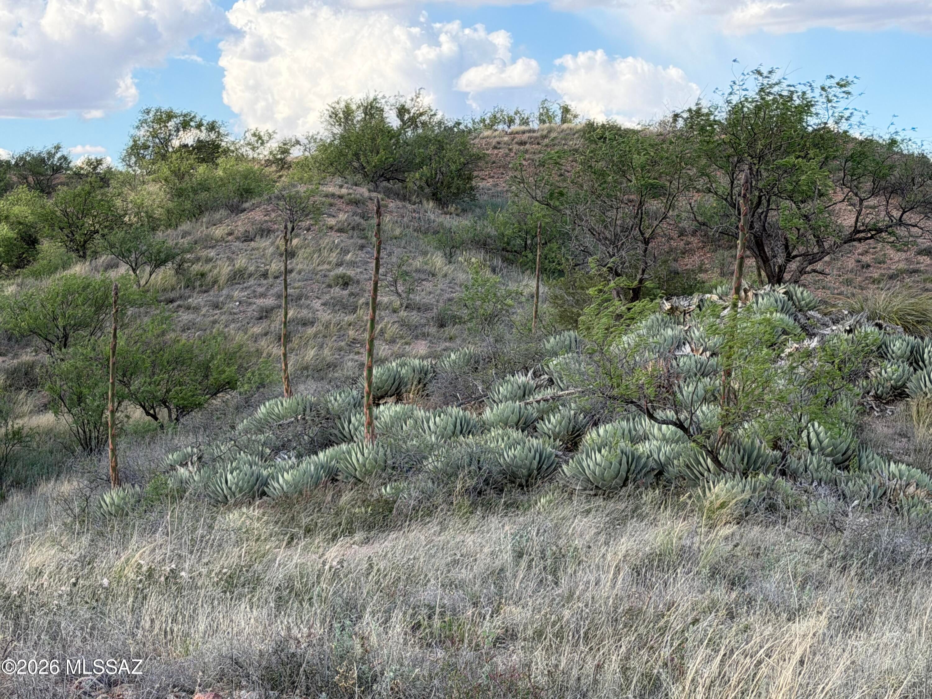 Three Canyons - Land