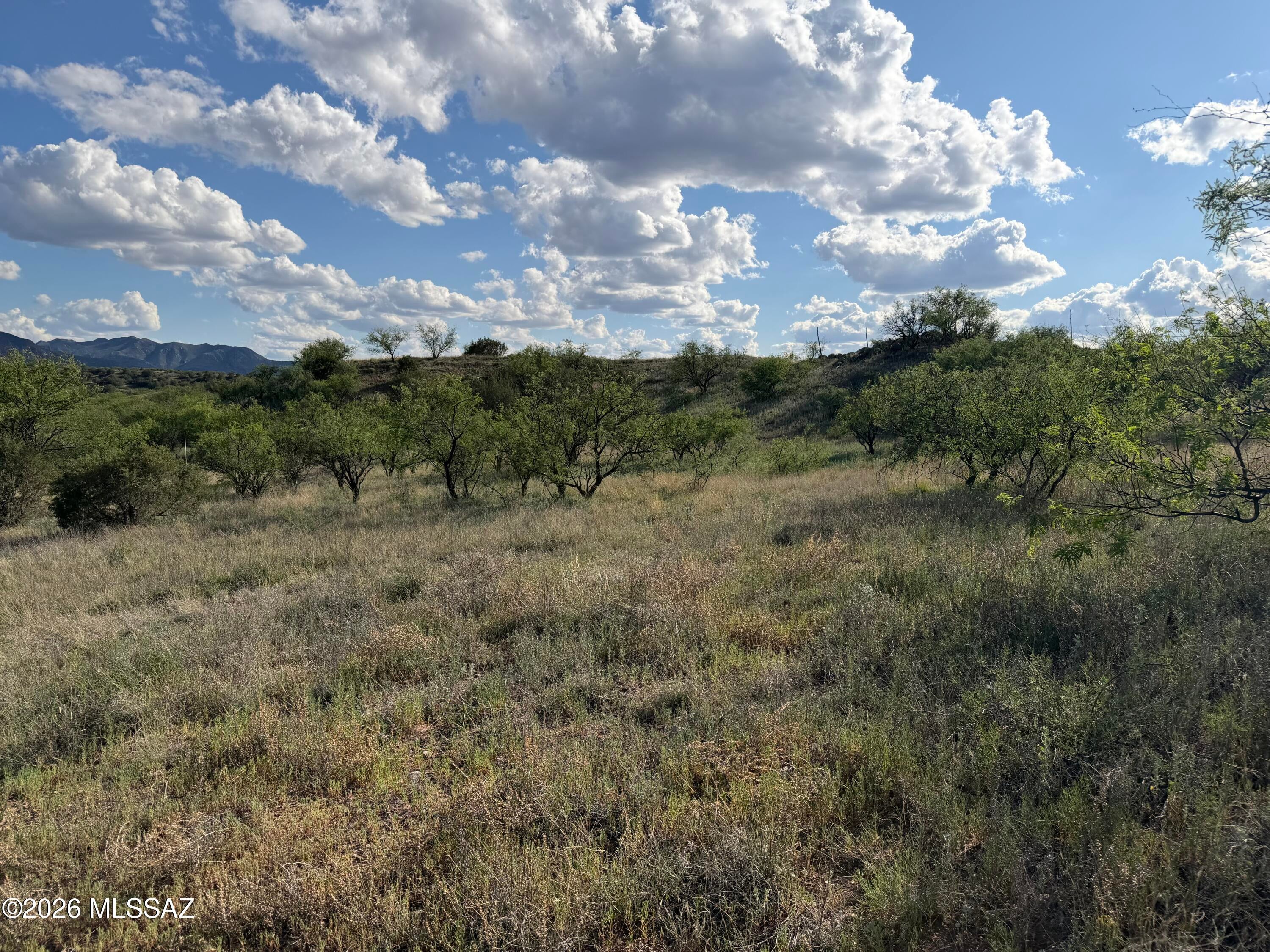 Three Canyons - Land
