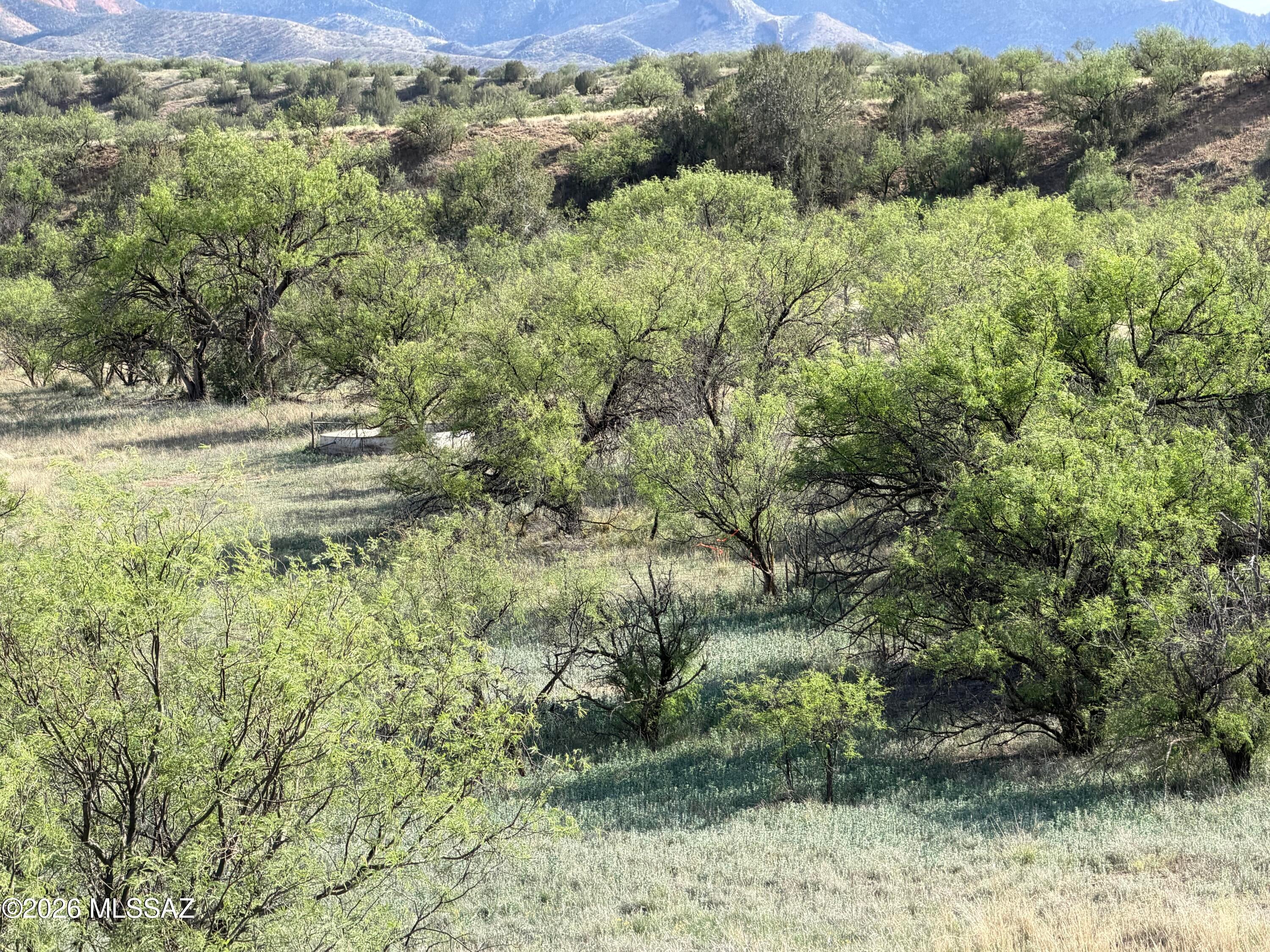 Three Canyons - Land
