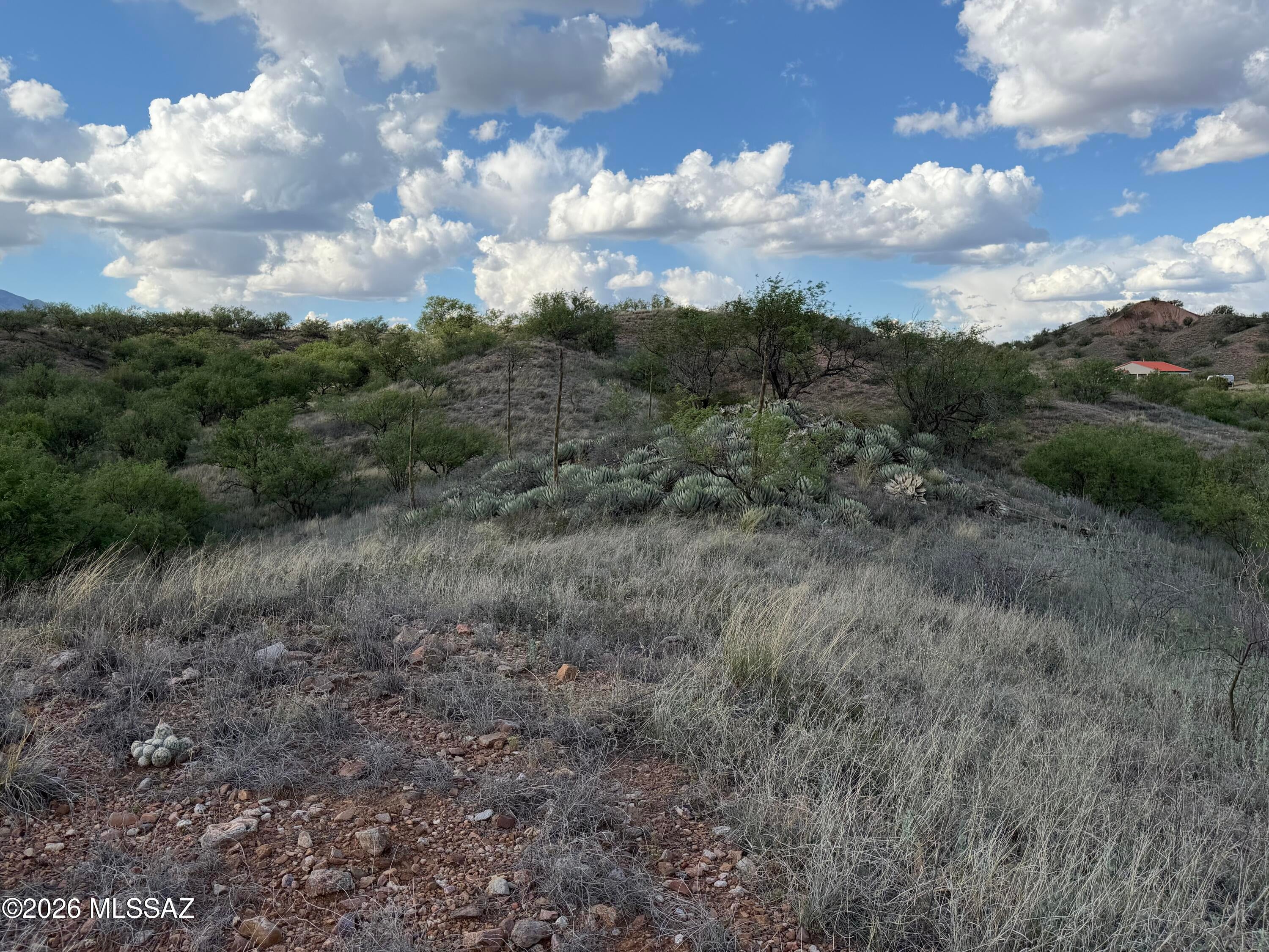 Three Canyons - Land