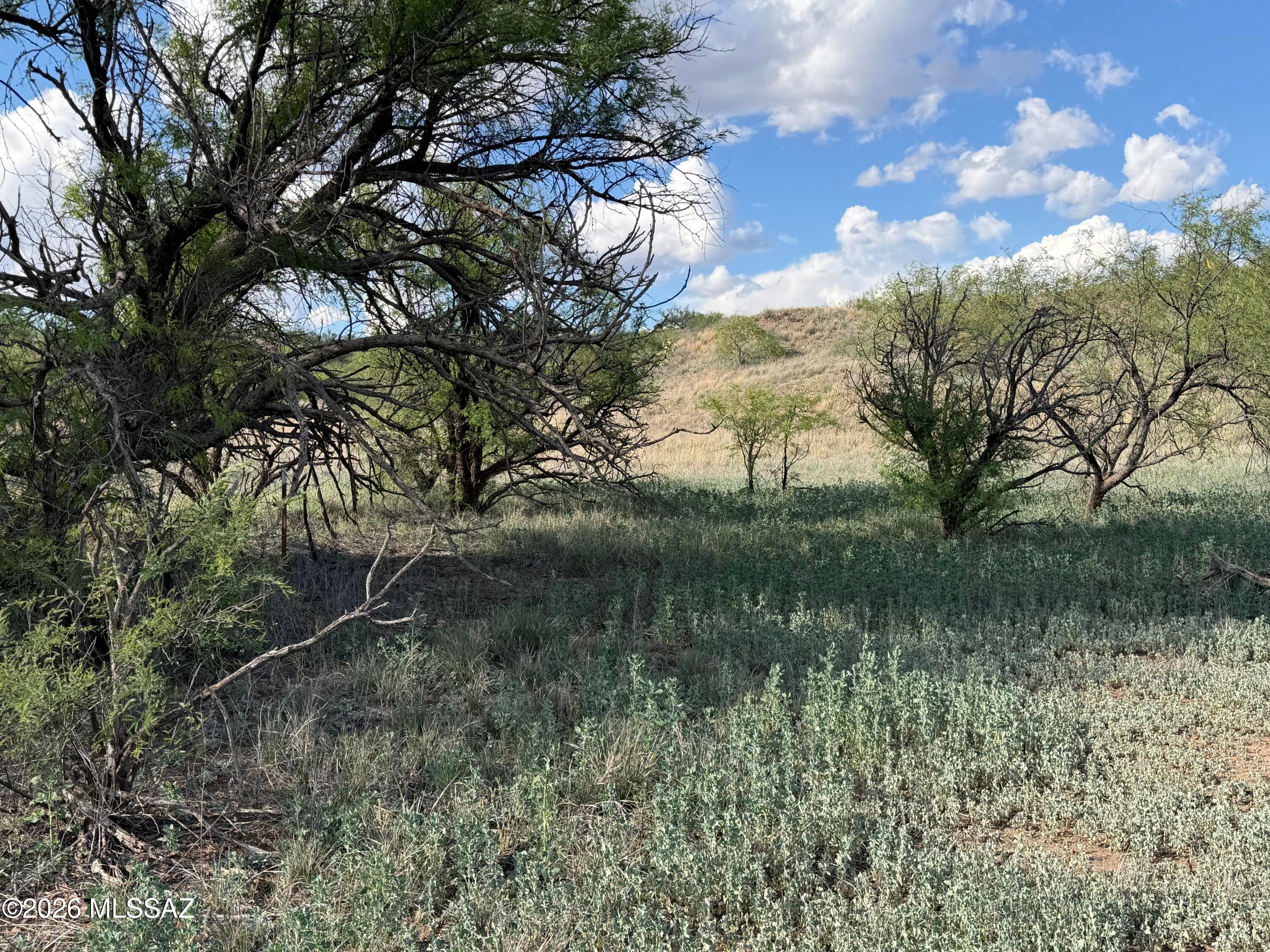 Three Canyons - Land