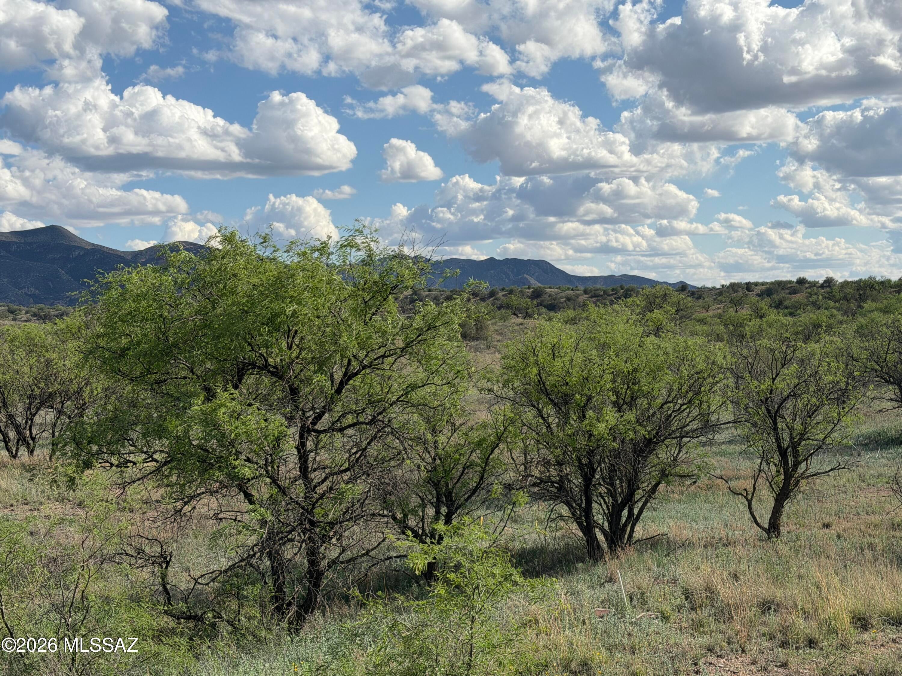 Three Canyons - Land