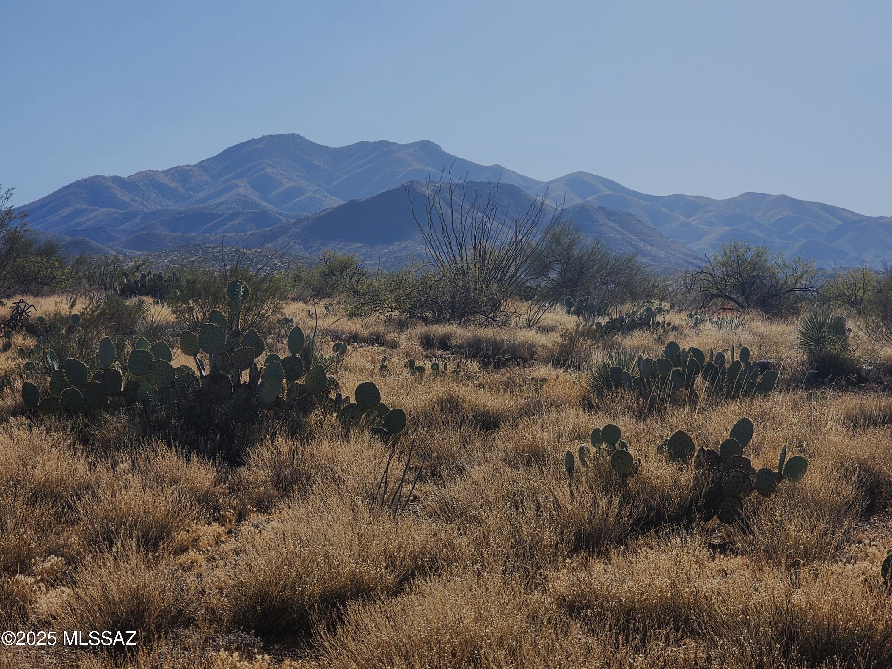 MOTIVATED SELLER! Big $ drop! Build your dream home on this large, flat lot in Vail! 1.14 acres with amazing views! Stunning Santa Rita/Corona Foothills views to the south & sweeping views of the Rincons & Catalinas to the north. Beautiful, peaceful setting & excellent horse property potential! Great location just north of Sahuarita Rd & in the award-winning Vail School District. Staked & flagged/Boundary Survey completed 2/11/2025 shows correct lot size 1.14 acres. Trico access +/-400' to the north. Please contact LA for details or call Trico directly. It's more cost effective to drill a well than to connect to Vail Water. CR-1 Zoning allows temporary trailer/MFG during construction & 1 large animal/10,000'. This is a great opportunity to invest in your own slice of heaven in the desert.