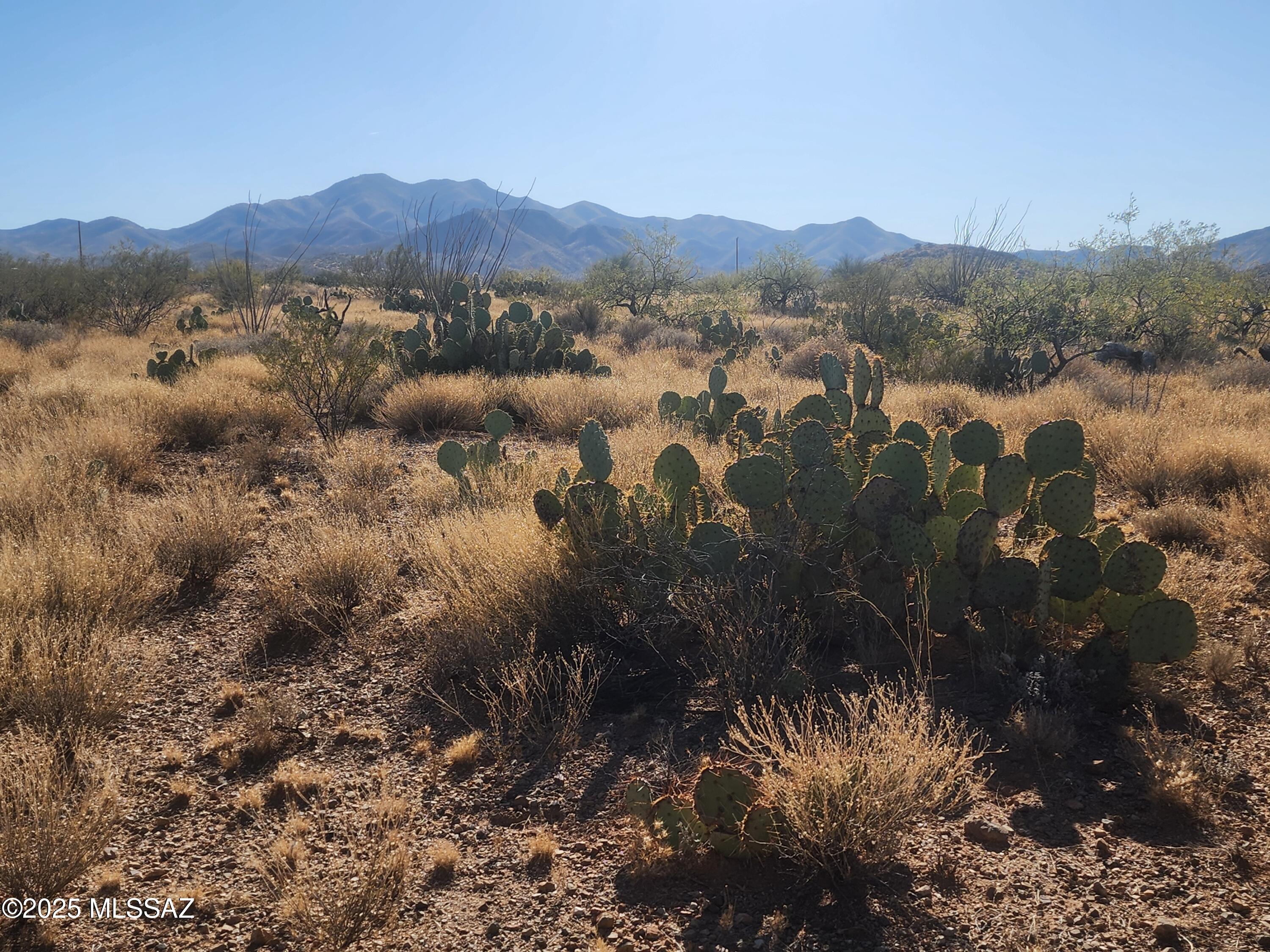 New Tucson Unit NO. 28 - Land