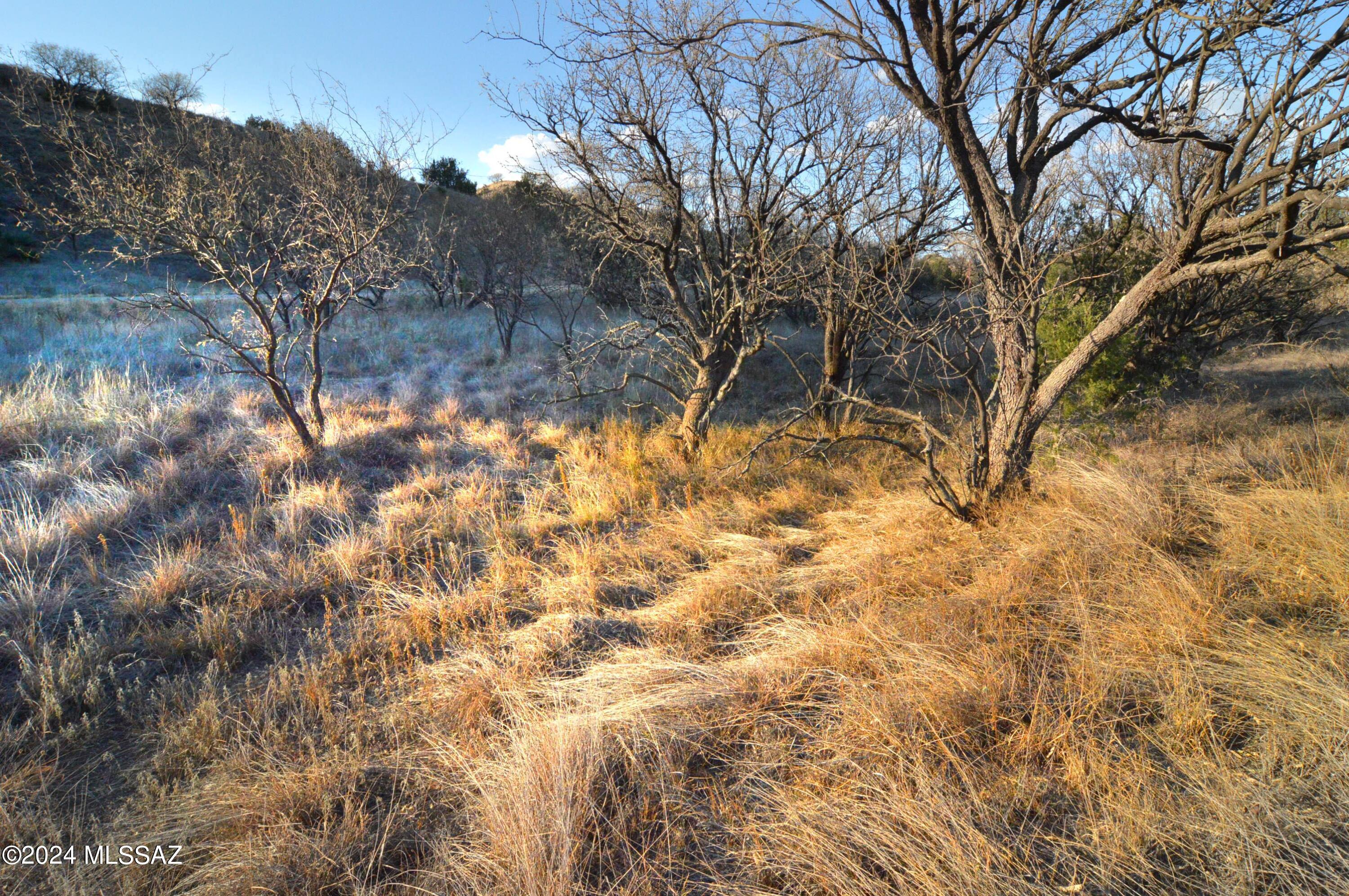 Lazy RR Ranch Estates - Land