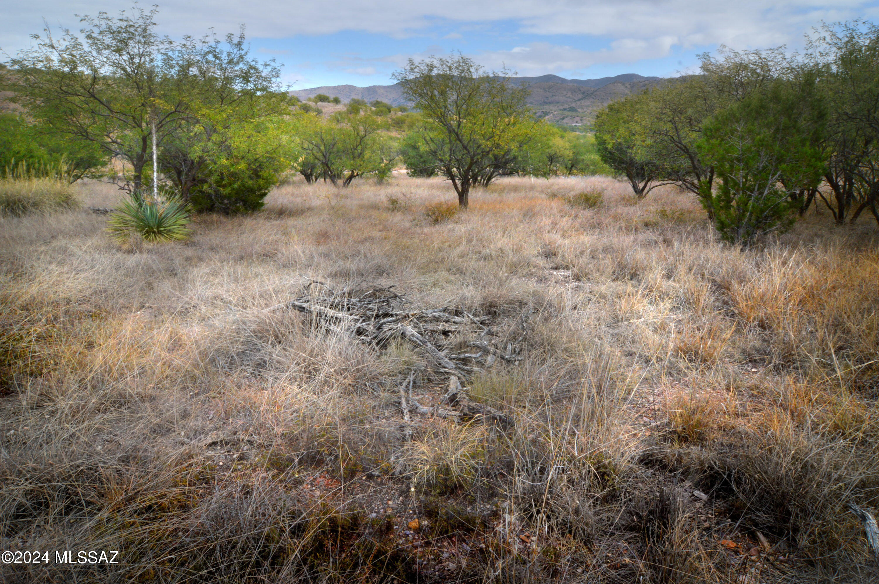 Lazy RR Ranch Estates - Land
