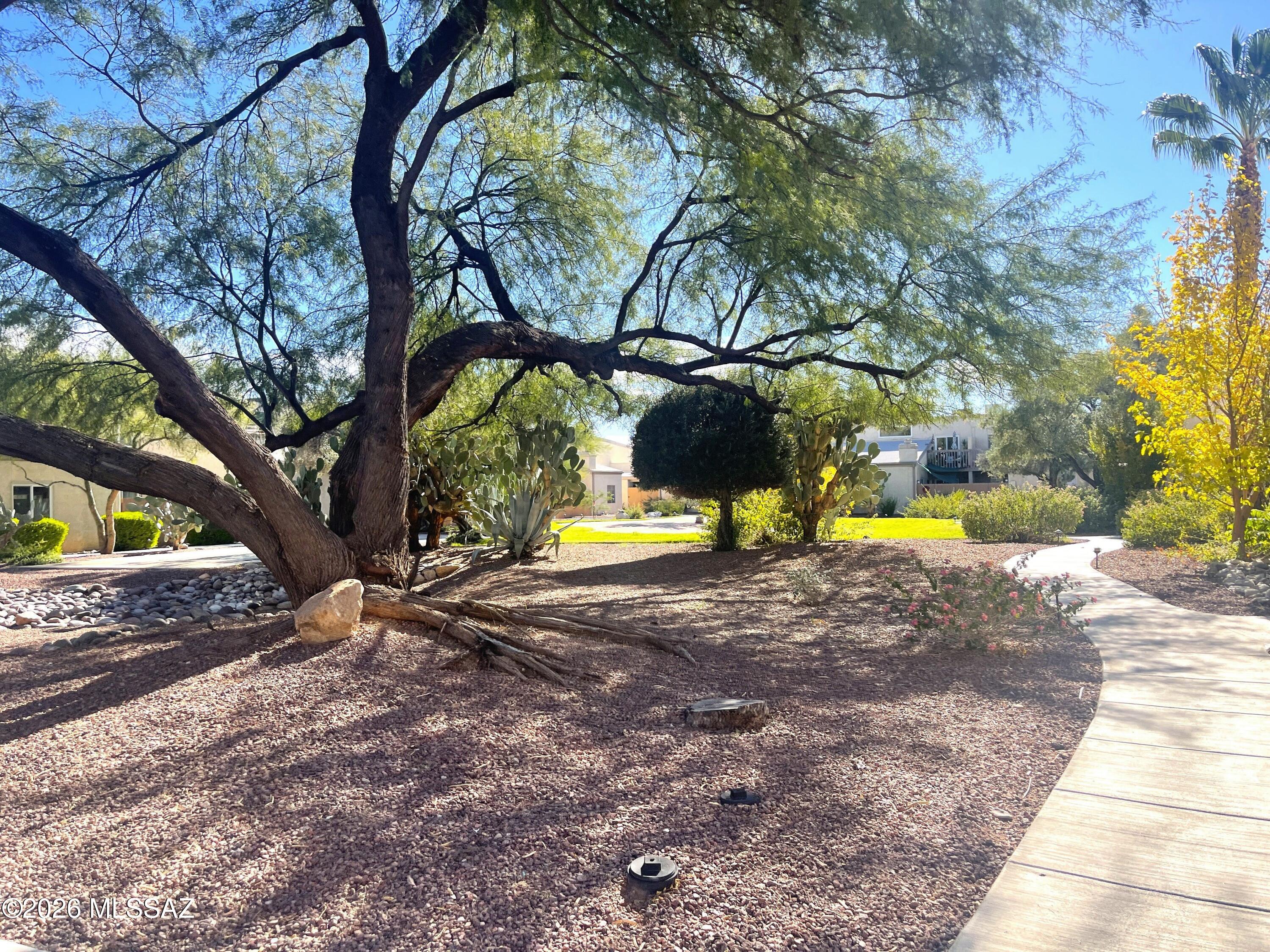 Pima Park (1-35, & 81) - Residential Lease