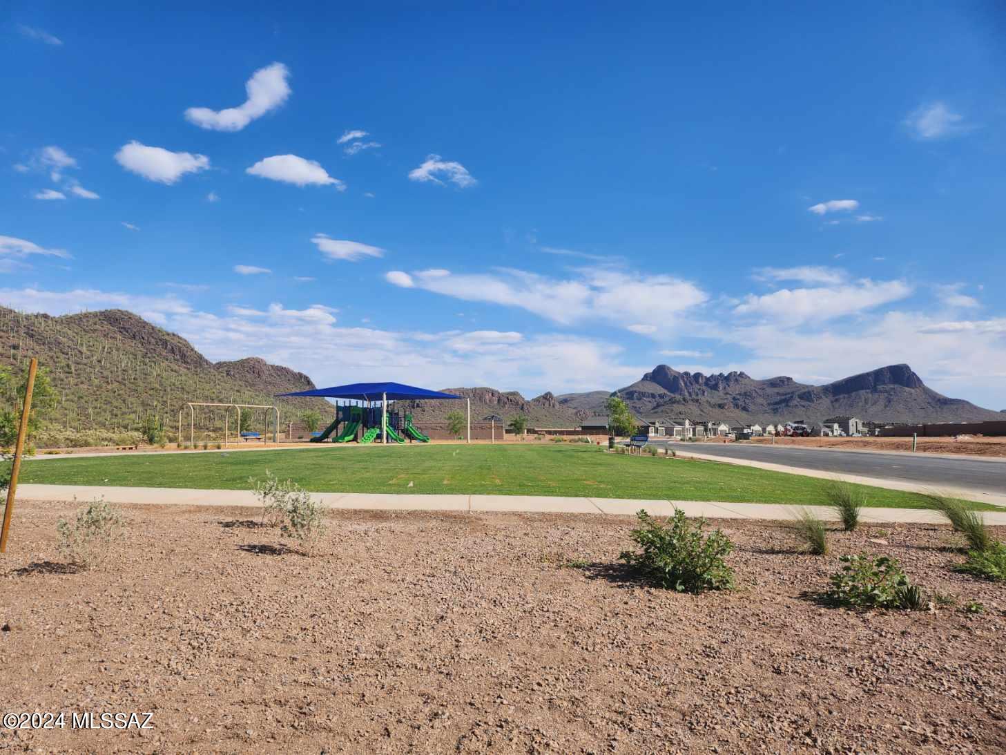 Saguaro Bloom Block 2 - Residential