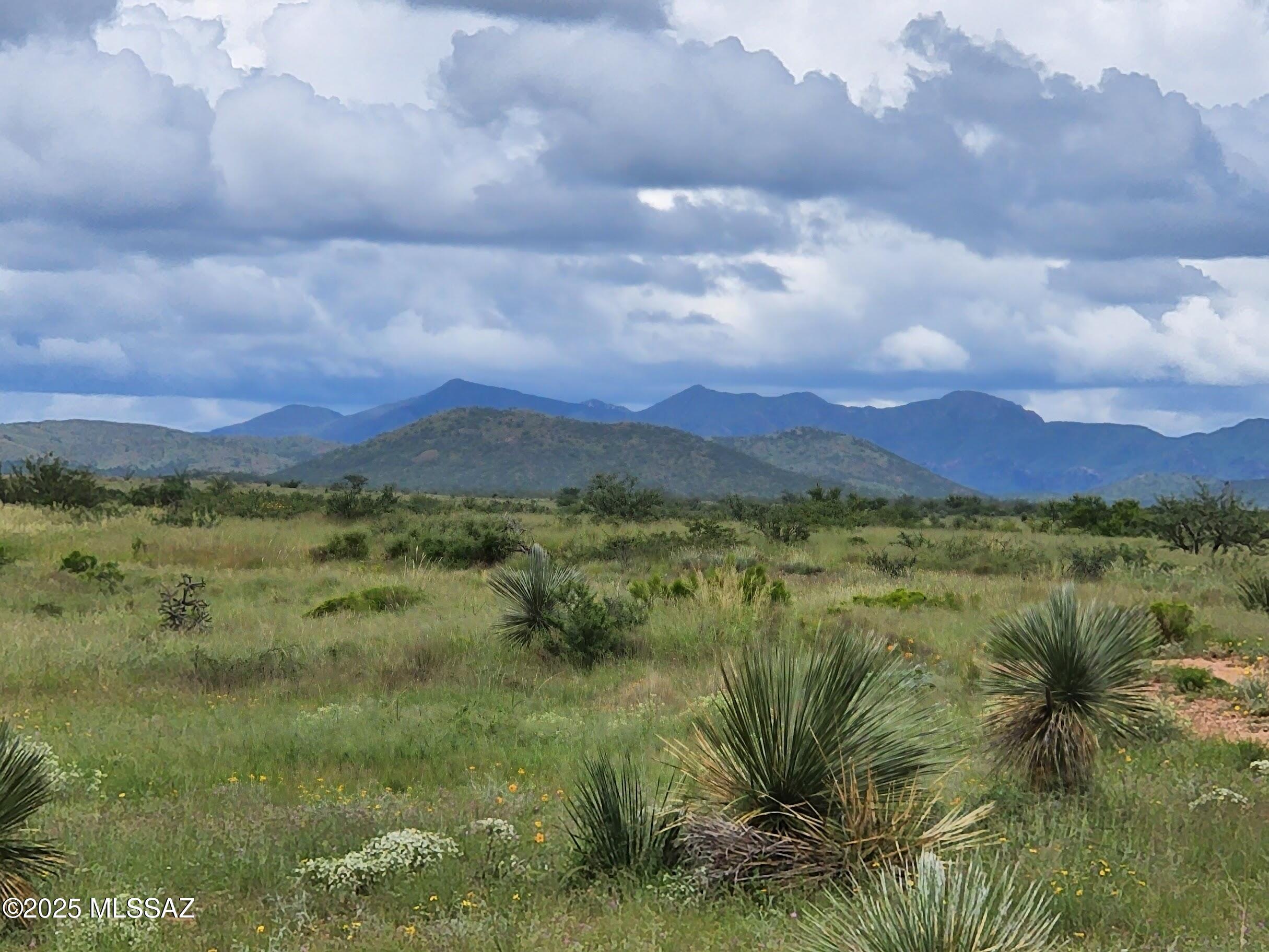 SELLER IS MOTIVATED! MASSIVE $1,000,000 PRICE REDUCTION! The Double U Ranch, is a historic, working cattle ranch situated approximately 13 miles east of Tombstone, AZ. It is one of the most user-friendly ranches for both the new & most experienced cattle ranchers anyone could ever hope to find. The ranch spans a total of 9,555 acres & is located at the end of the road creating ultimate privacy. This includes 6,315 adjoining deeded acres & an additional 3,240 acres under an Arizona State Land Grazing Lease making this one of the largest contiguous ranches in Arizona. It consistently supports 300+ head year-round of Angus & Brangus cattle and the sellers have carried 600 AU in prior years.   
The ranch is extremely well watered, equipped with 12 registered wells, 7 solar pumps, 4 windmills 4 dirt tanks, pipeline & numerous drinkers are strategically placed throughout the ranch ensuring cattle have water available every quarter mile.
Unlike most high desert areas, the Double U Ranch contains a vast amount of sandy loam soil crisscrossing throughout the property, aiding the lush natural growth of nutritious grasses and brush, with mesquite trees, cottonwood and even some black walnut trees brought in by the original homesteaders! This healthy vegetation and rainfall have historically supported the strong AU numbers. You will never grow tired of the views. They are incredible in every direction and from every location and season on the ranch. 
The annual climate is very mild and comfortable. The winter days are in the low 60's and nights average 36 degrees. Summer days average 90 and nights in the mid 60's. The annual precipitation is 14 to 15 inches. 
Located at the southern tip of the scenic Dragoon Mountain range, the rolling topography ranges from 4,500' and rising to 5,280' atop Hay Mountain. There is an old signal beacon located on top due to the expansive 360 degree views. There is also an old historic stagecoach stop located on the ranch. 
The ranch is home to abundant and diverse wildlife, including Mule Deer, White Tail Deer, Javelina, Coyote, Foxes, Cottontail and Jackrabbit, Mountain Lion and Bobcat. Bird species such as Hawks, Falcons, Roadrunners, Eagles, Ducks, and White-Faced Ibis also inhabit the area. You will also find Dove and remarkably this area has all three Arizona Quail species - Gambel, Scaled and Mearns Quail. 
The ranch fencing and cross fencing is good with numerous pastures. The perimeter gates are locked by the owners and the interior roads are private. This has many positive benefits for day-to-day ranch efficiency and creates a private game refuge where the hunting is excellent and trophy bucks are common.  

Improvements on the ranch include a historic 1,847 sq ft, 3-bedroom, 2-bathroom house with a covered front patio. Additional structures comprise a separate bunkhouse currently used for laundry and storage, stock pens adjacent to a large 20 x 60-foot quonset building with a concrete floor, a 20 x 20-foot tack room, a machine shop, and a hay barn. Steel-piped pens and wood corrals surround a large squeeze chute and calf table, along with a 10 x 12-foot cattle scale and loading chute. Electric power lines and a propane tank supply the headquarters, pens, and quonset building. The ranch is offered with the equipment available separately through a private treaty.   
    
There is so much potential at the Double U Ranch. 
The ranch is free of any Conservation Easements making it even more rare on a ranch of this great size in today's market. However, it remains an option for the new owner to place a Conservation Easement on the ranch or even part of it. The new owner could create this easement which may create substantial tax benefits for the new owner. Please check with your CPA or tax attorney for verification and details. 
The buyer also has another angle here. Due to all of its positive attributes already mentioned especially the beauty, water availability, access and location close to Tucson and Phoenix; it is a prime candidate for a subdivision.
With its dramatic beauty, diversity of the land, strong vegetation, stunning views, great access, historic location, mild annual climate, excellent carrying capacity and very attractive price make this ranch hard to pass on. You will be very hard pressed to find a better working cattle ranch on the market anywhere in Arizona today. Come visit and make this legacy ranch yours. 
             
Tax Parcels: 111-01-004D, 111-25-001A, 111-25-001B, 111-25-001C, 111-01-004C
