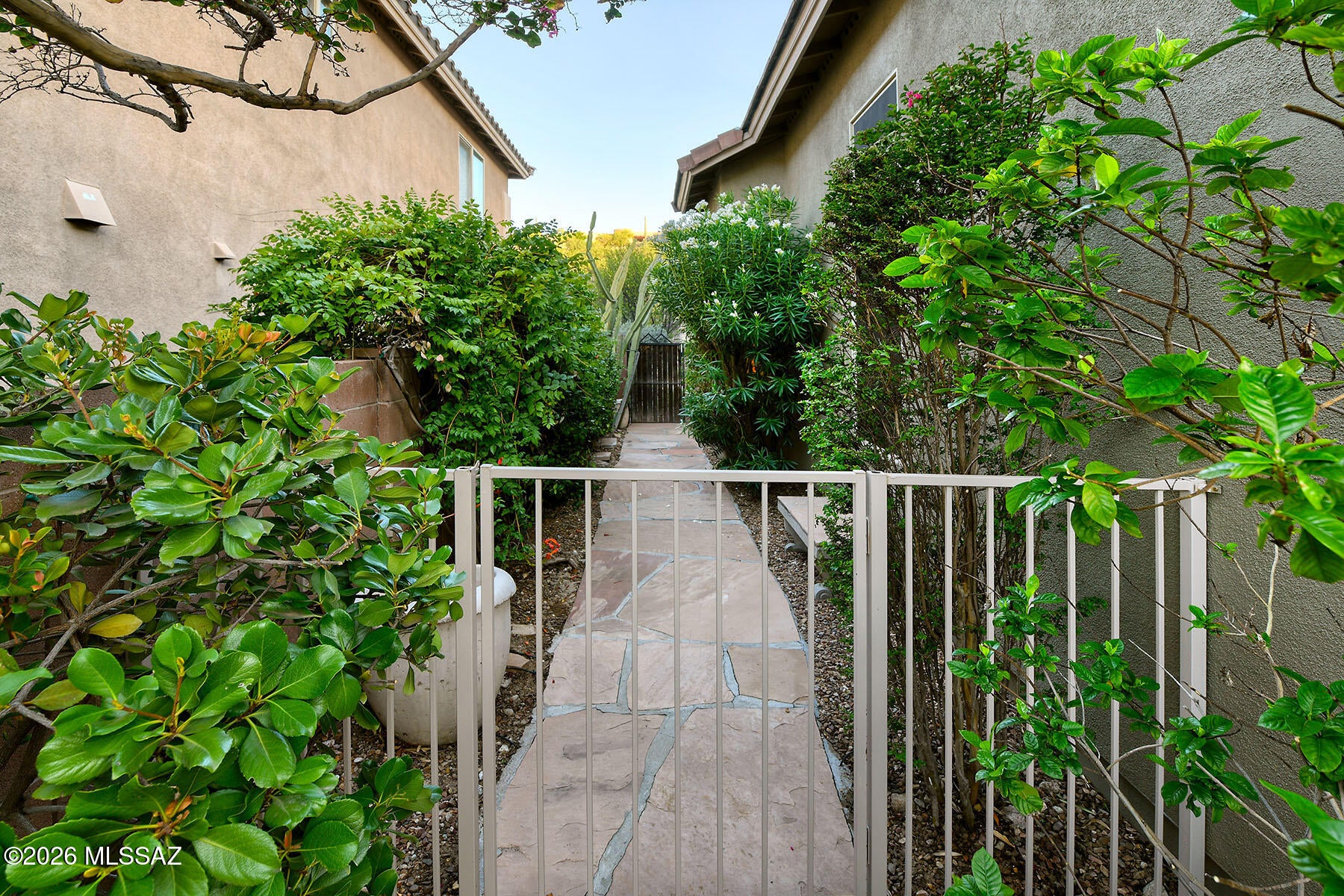 Sabino Mountain (1-290) - Residential