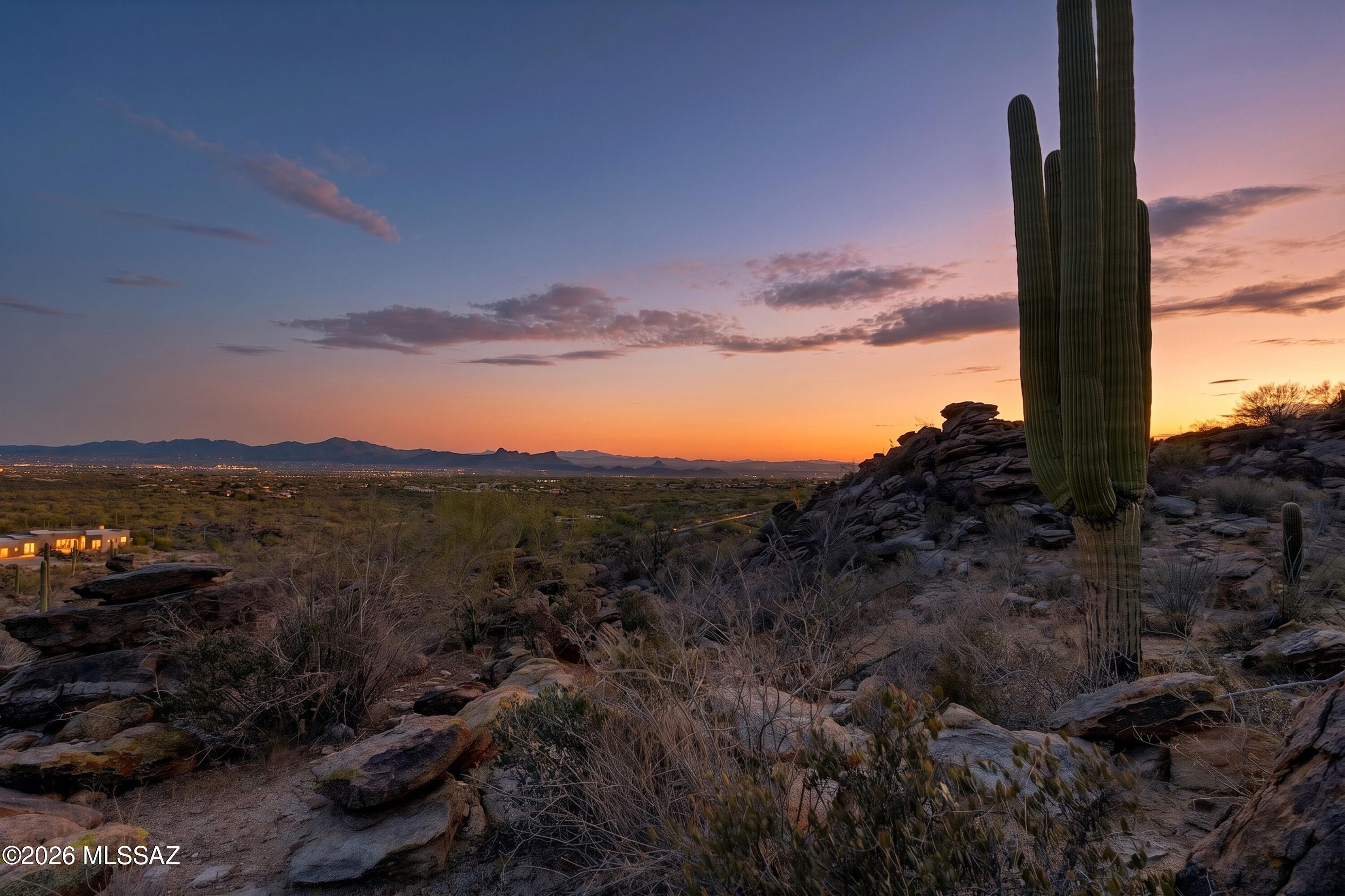 Canyon Pass At Dove Mountain - Land
