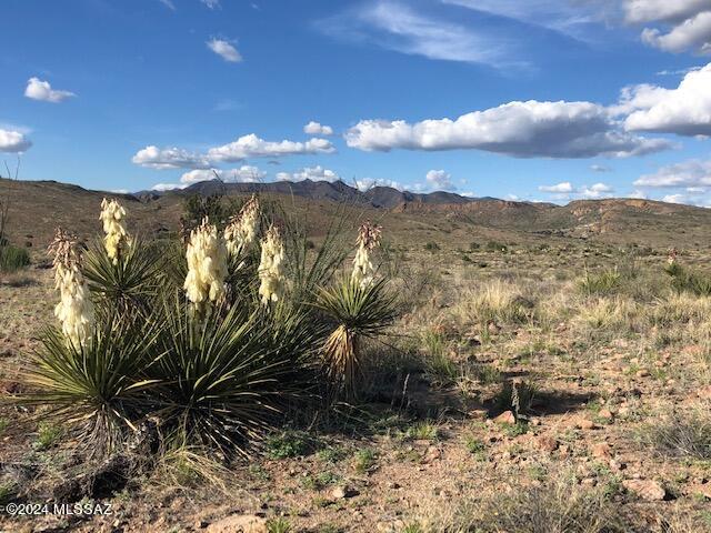 Sonoita Creek Ranch Unit 2 - Land