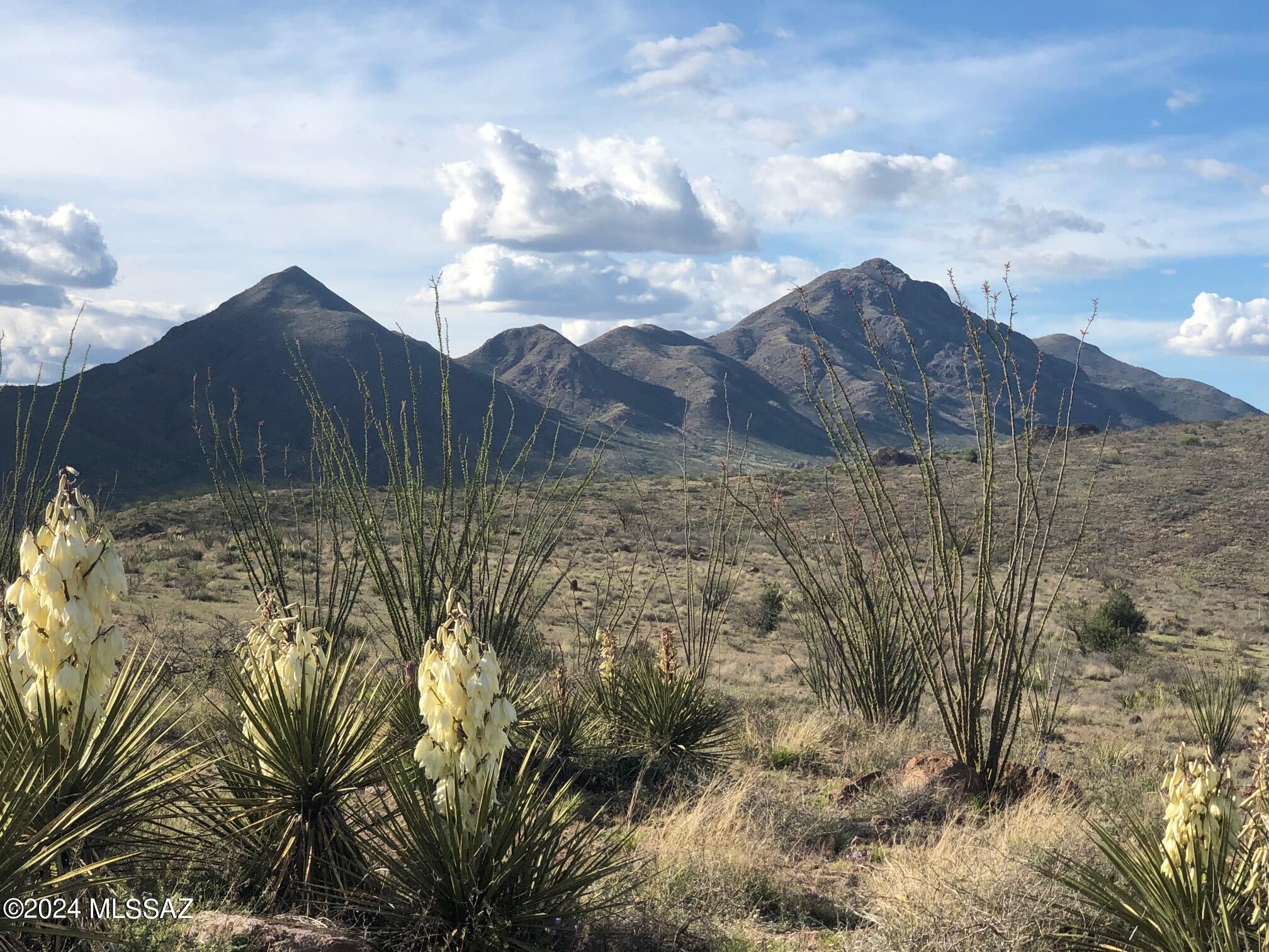 Sonoita Creek Ranch Unit 2 - Land