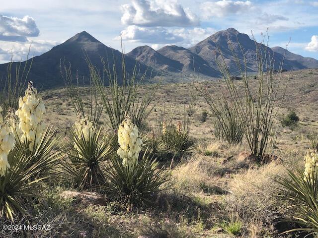 Spectacular, usable, easy build parcel bordering the rare Sonoita Creek riparian area state owned land. Electric, gated for privacy, excellent views and quick access to Rio Rico and I-19. Shallow water table for your well. Lowest price on the creek. Don't miss out.