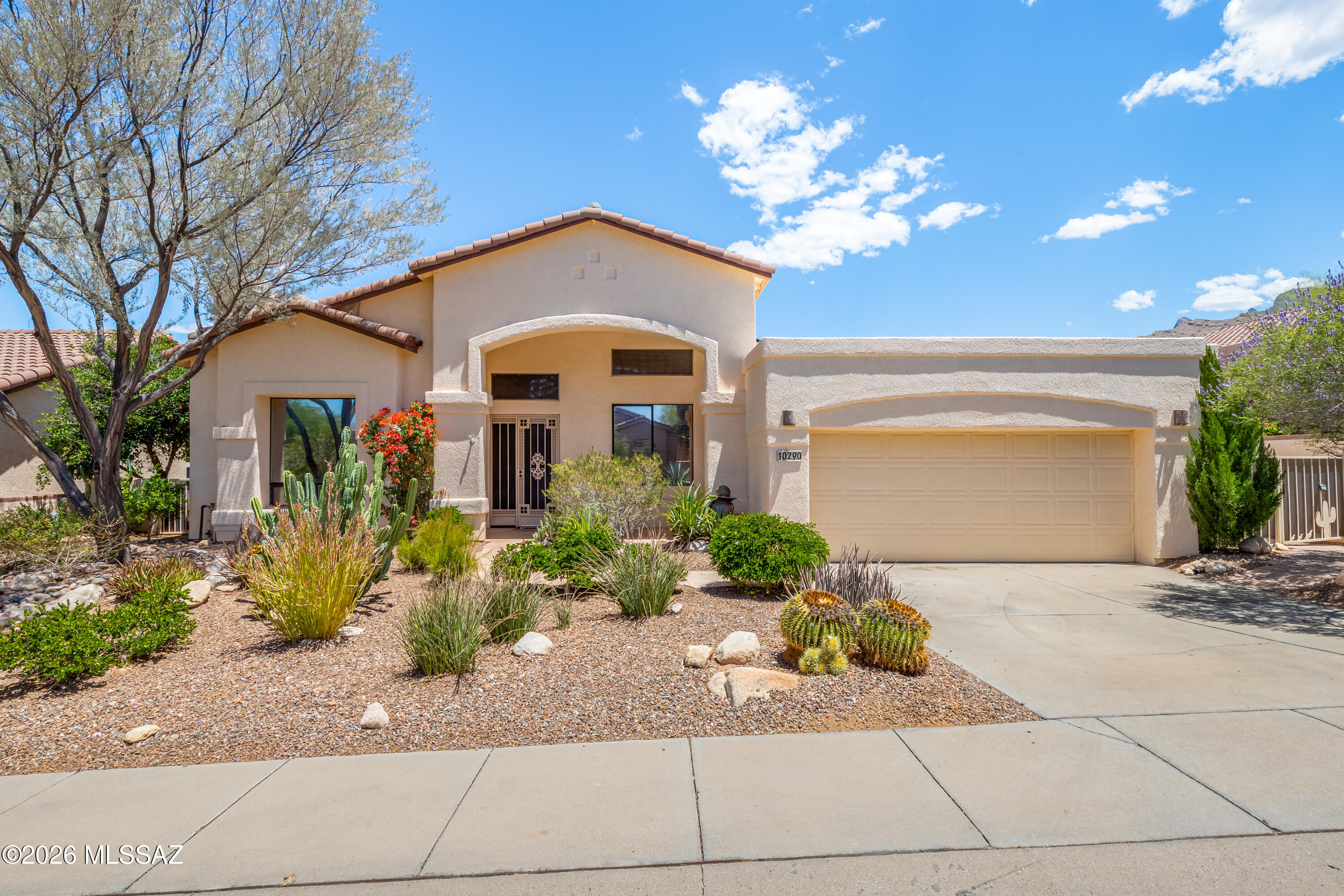 Bighorn Point At La Reserve (1-43) - Residential