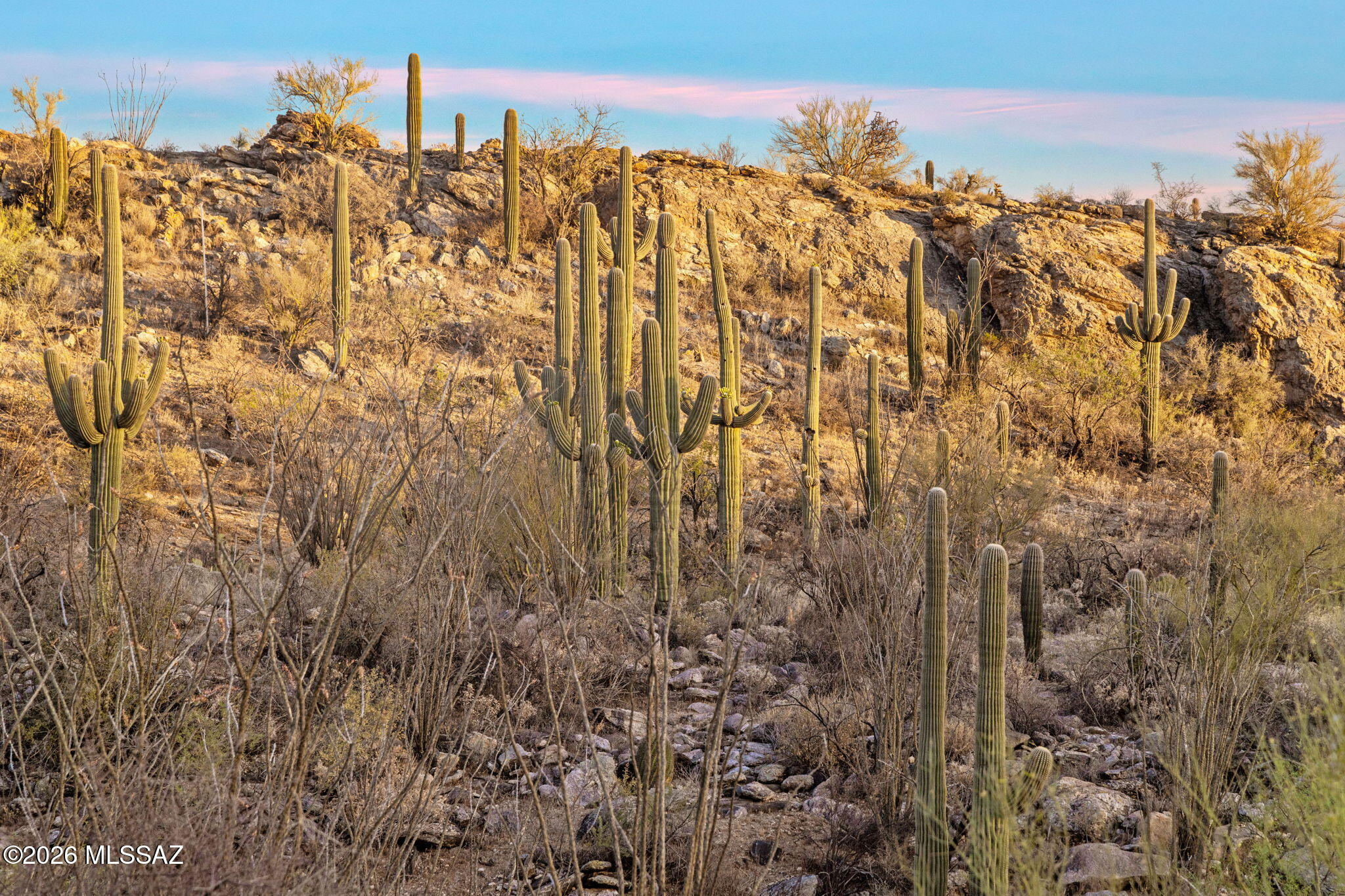 Fetzer Ranch (1-60) - Land