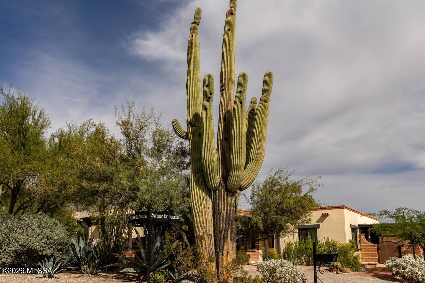 Situated in the Catalina Foothills, this charming Spanish Mission-style townhome offers a blend of classic architecture, and scenic desert surroundings. Featuring 2 bed- 2 bath; the home is thoughtfully designed for comfort and functionality.

An open-concept layout with a combination of tile and carpet flooring, a spacious living area, and seamless flow into the kitchen and dining spaces--ideal for both everyday living and entertaining. French doors open to a private back patio, creating a natural extension of the living space and an inviting setting for indoor-outdoor living.

Offered fully furnished, this turnkey residence is perfect for those seeking a move-in-ready lease, The private patio is surrounded by mature desert landscaping, providing a peaceful retreat,