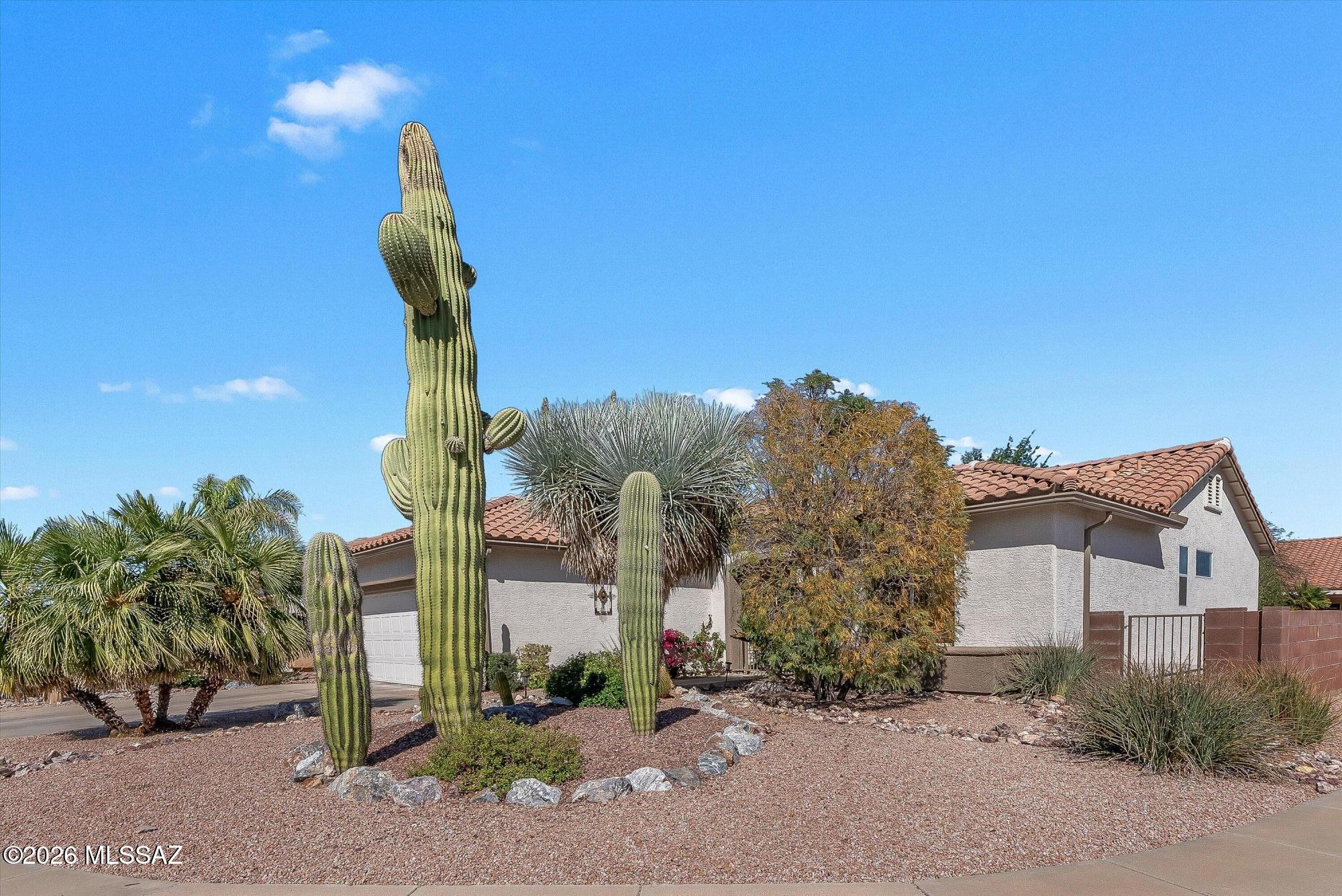 Continental Ranch Sunflower Phase IV (458-556) - Residential