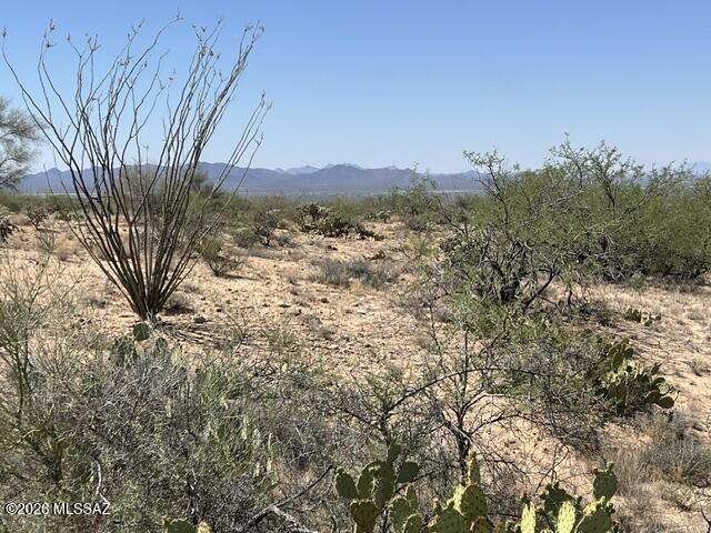 Two lots (105 & 106)in Diamond Bell Ranch, Unit 4 available for a total of 2.36 acres..   Lots are plotted on a cul-de-sac, but this is wide open land with views for miles.   Perfect for those looking to build their homestead.