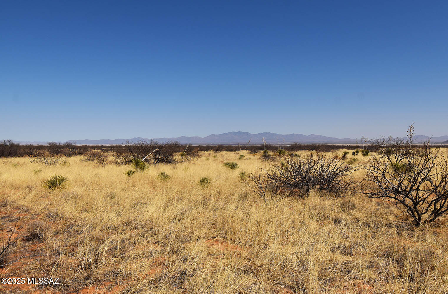 Arizona Sun Sites - Land