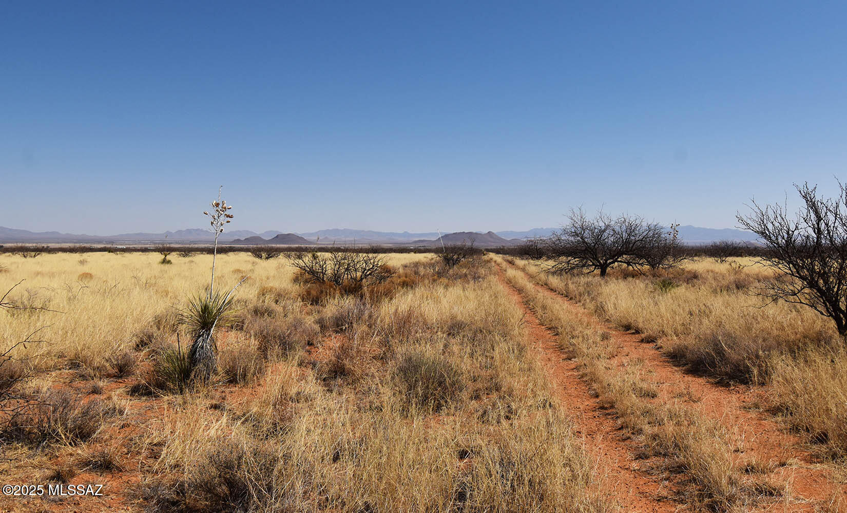 Arizona Sun Sites - Land