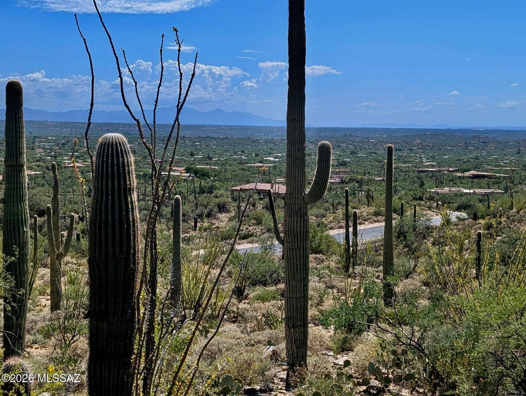 Fetzer Ranch (1-60) - Land