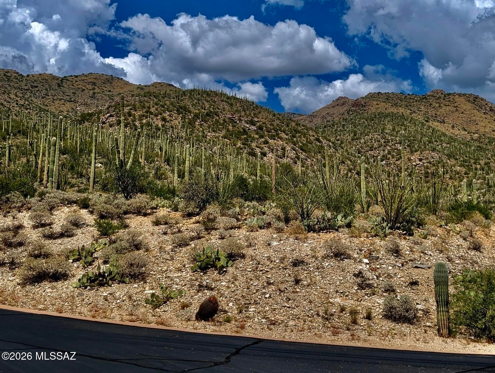 Fetzer Ranch (1-60) - Land