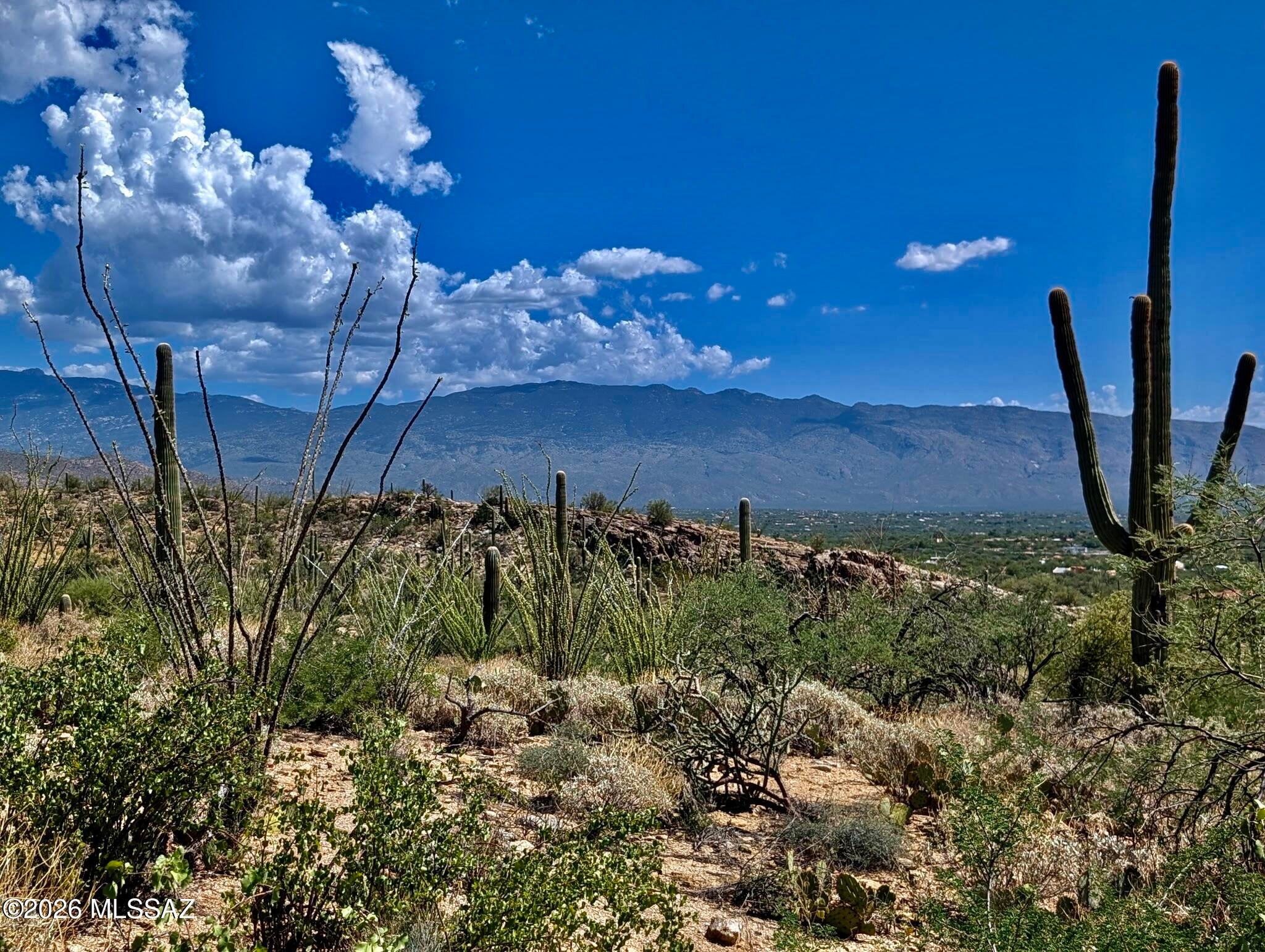 Fetzer Ranch (1-60) - Land