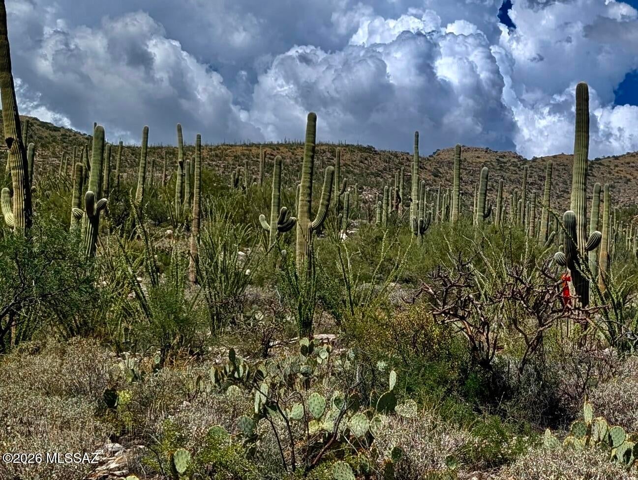 Fetzer Ranch (1-60) - Land