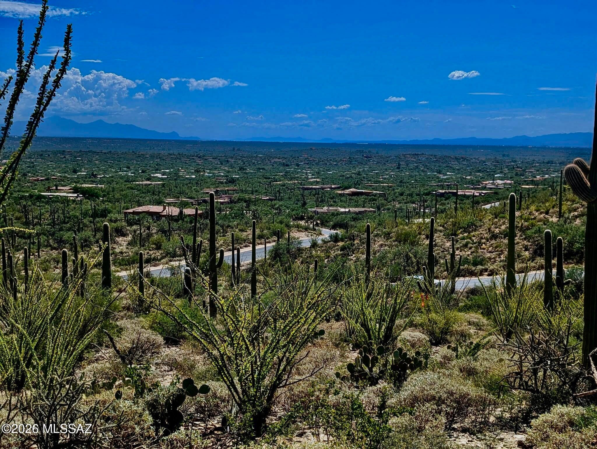 Fetzer Ranch (1-60) - Land