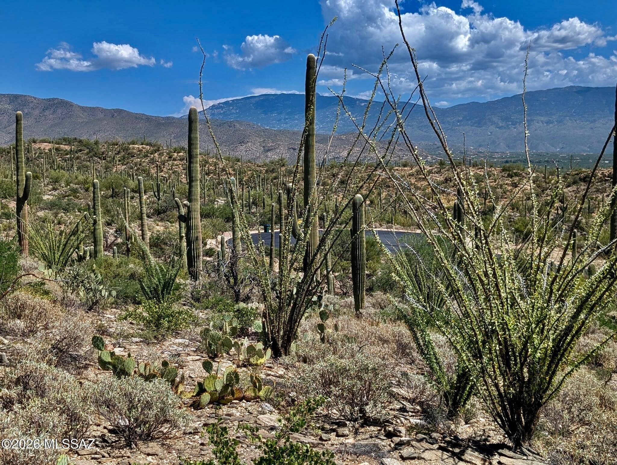 Fetzer Ranch (1-60) - Land