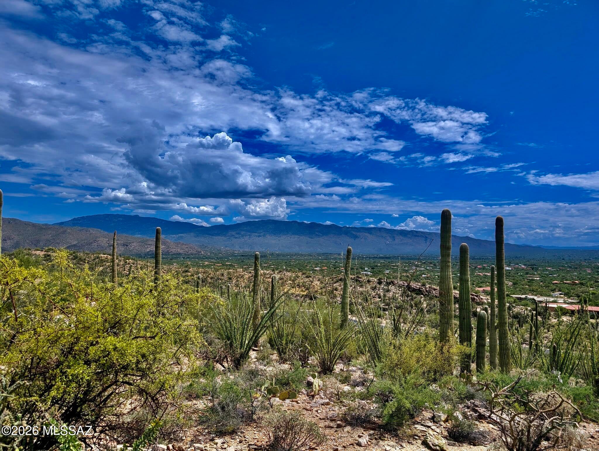 Fetzer Ranch (1-60) - Land