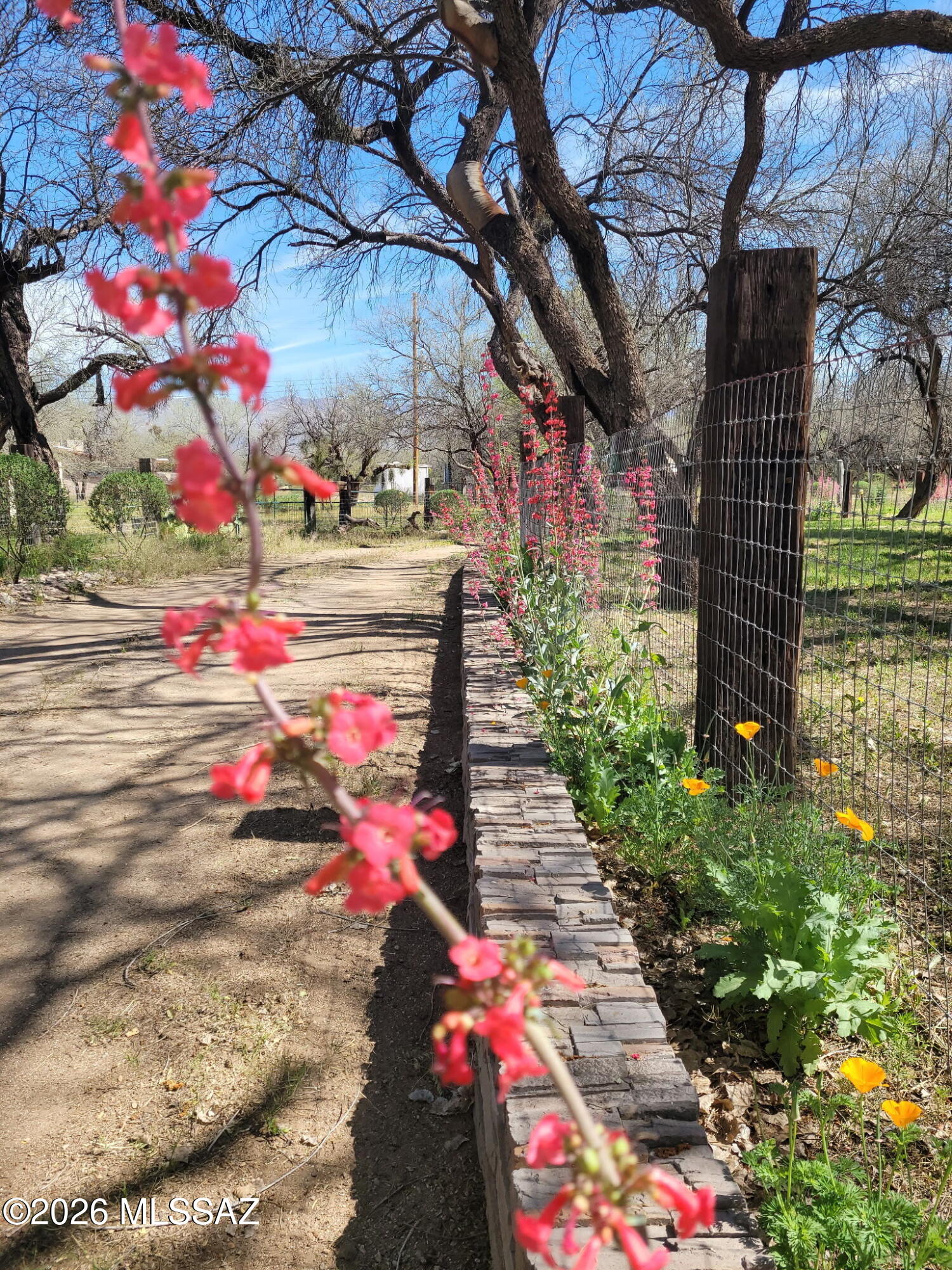 Tanque Verde Acres (1-31) - Residential