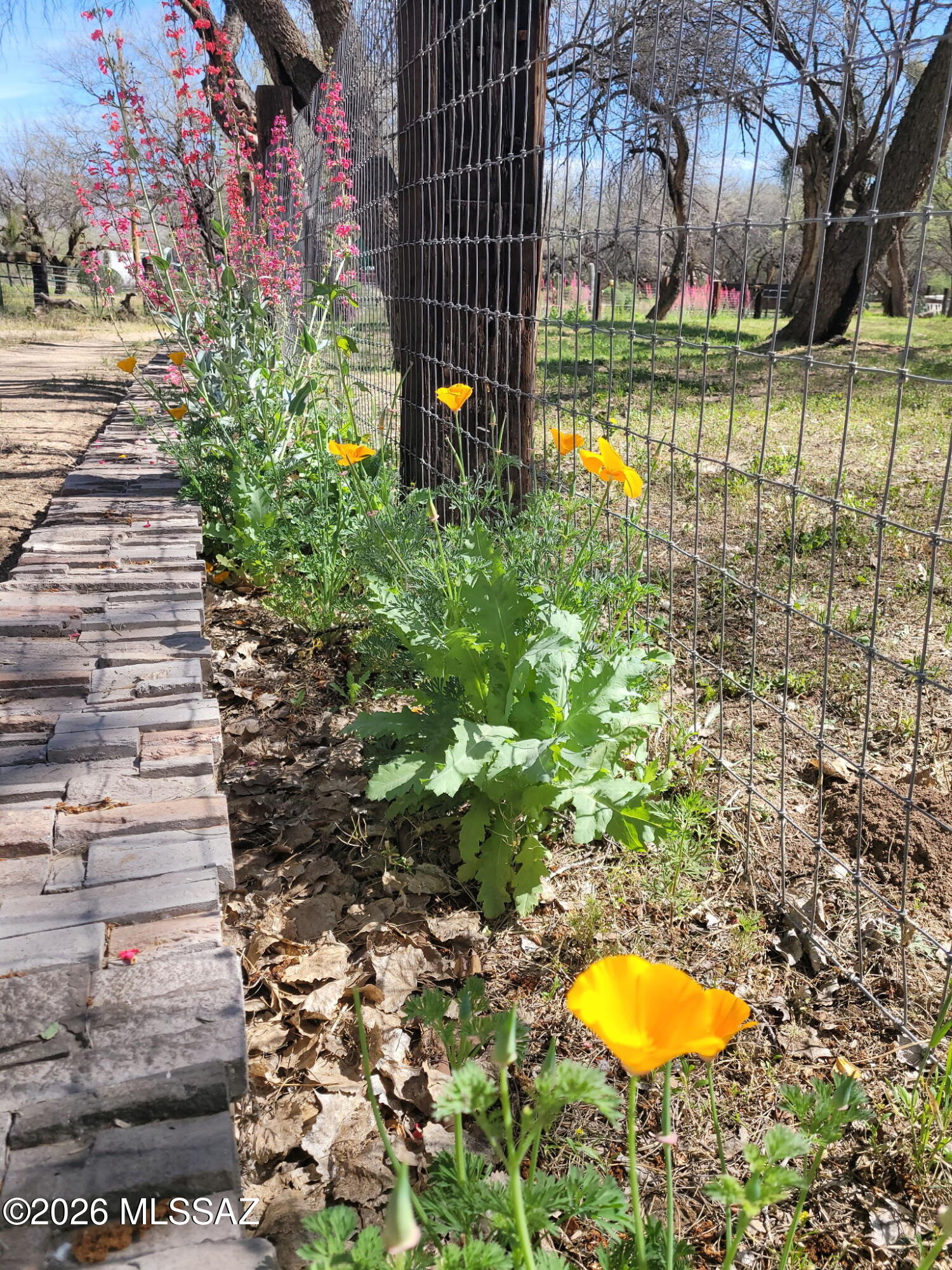 Tanque Verde Acres (1-31) - Residential