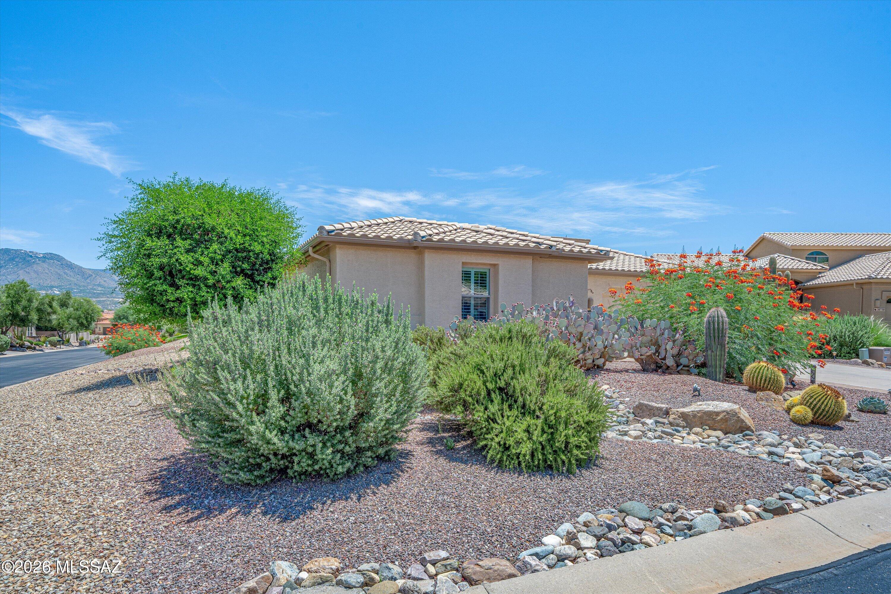 Saddlebrooke - Residential