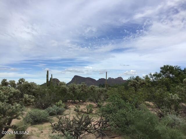 Build your custom dream home on this beautiful 1.2 acre lot in Picture Rocks. Enjoy mountain views, gorgeous sunrises and sunsets and the natural beauty of the Sonoran Desert right outside your door. Established Saguaro cacti add to the character and charm of this peaceful desert setting. With no HOA, you have the freedom to create a home and property that truly fits your vision. If you've been looking for space, views and a little more room to breathe, this could be the perfect place to build your Arizona dream home.