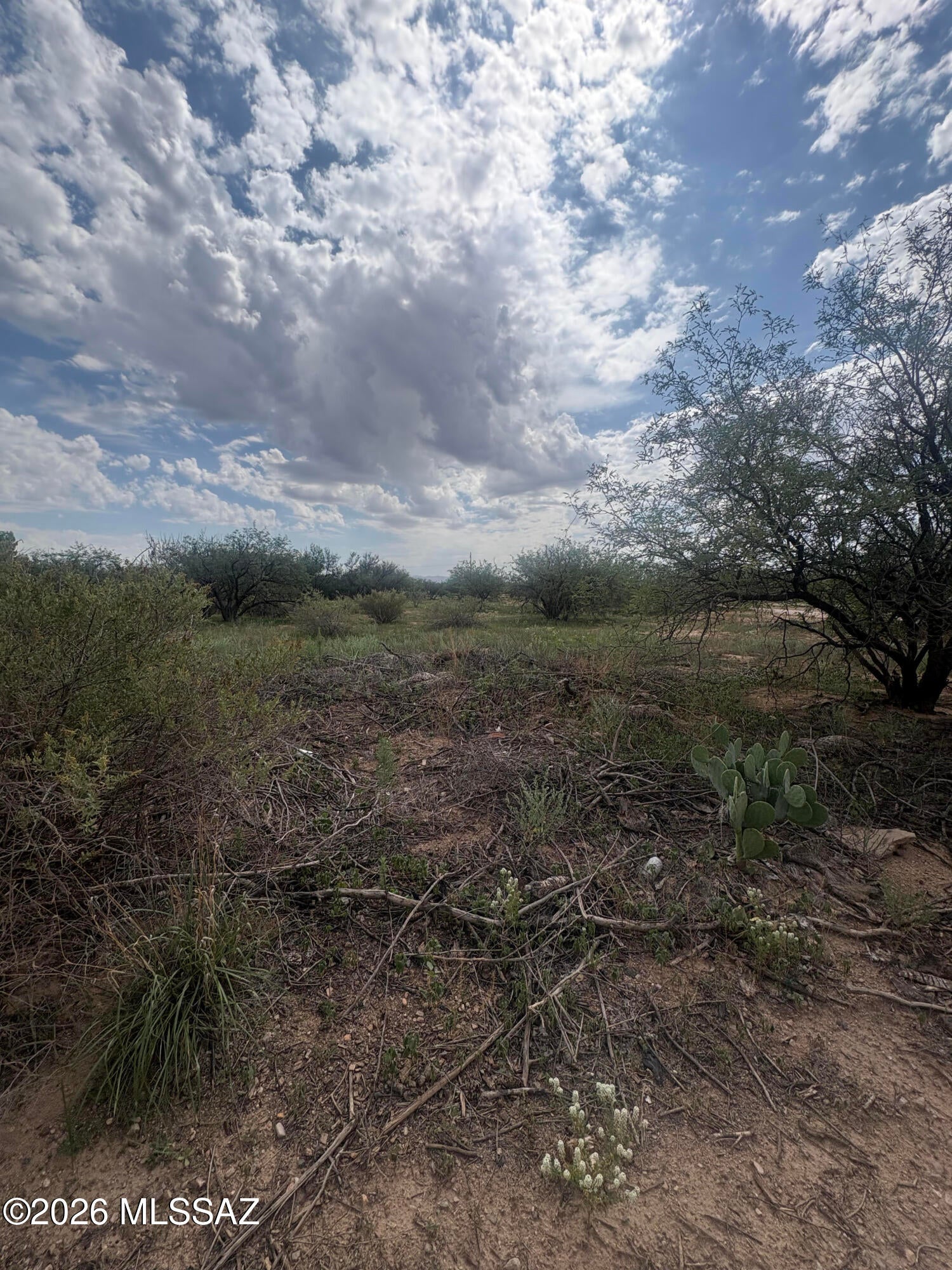 Other/Unknown - Land