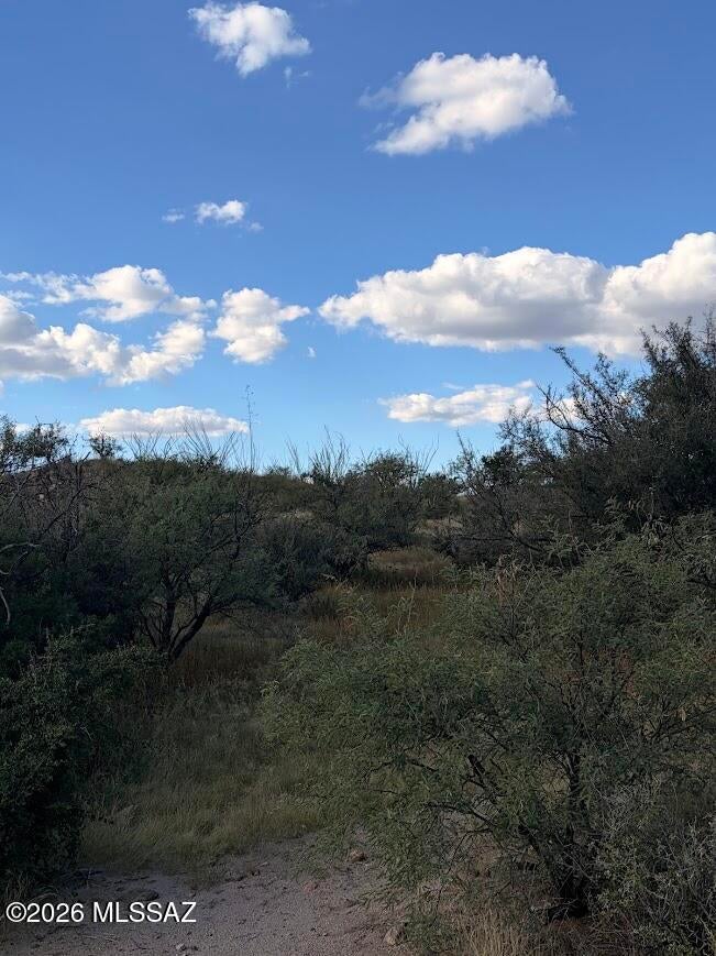 Rio Rico Ranchettes - Land