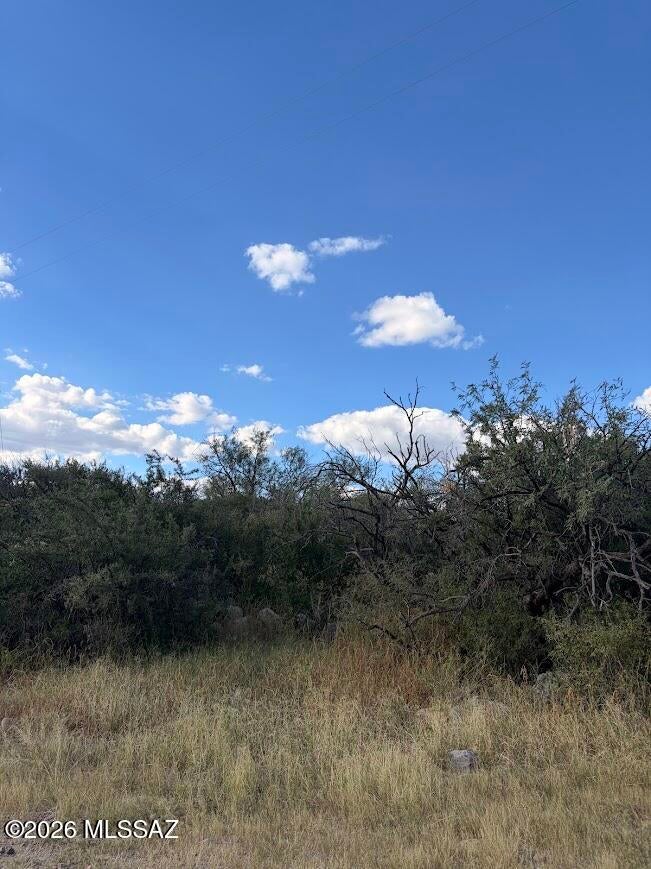 Rio Rico Ranchettes - Land